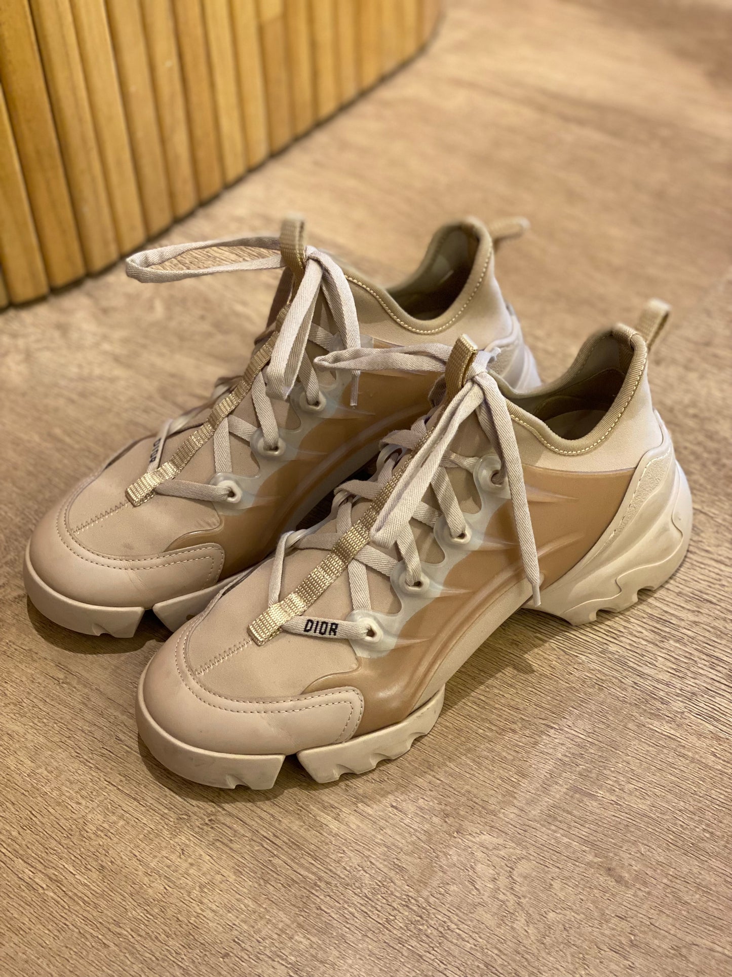 Champion Dior D-Connect (39)