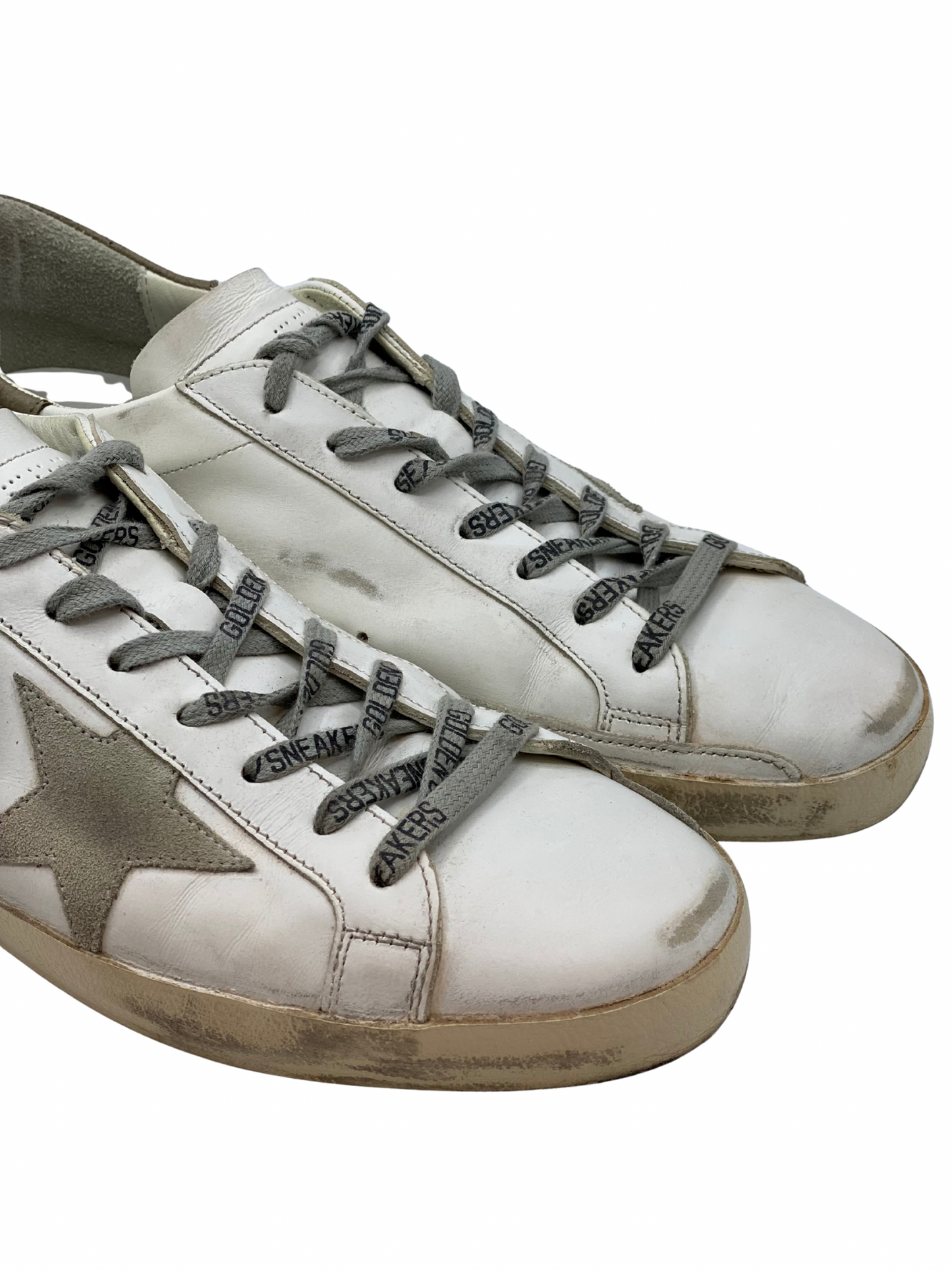 Champion Golden Goose Super-Star (11 MASC)