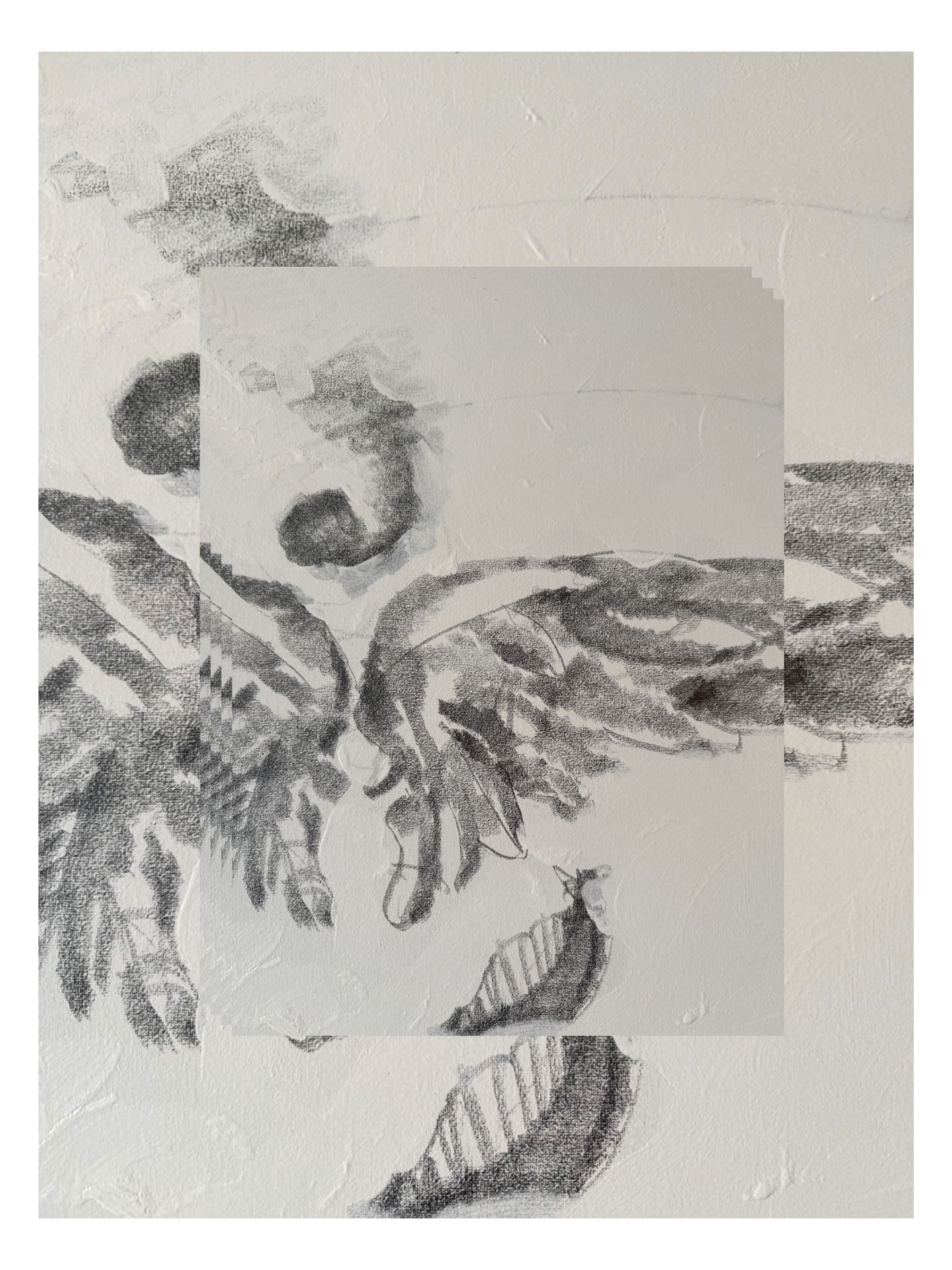 Obra de Félix Toranzo 80 x 50 cm. año 2024