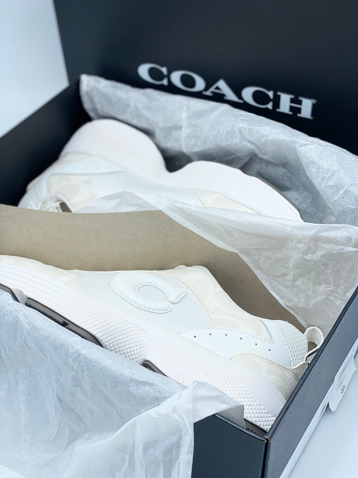 Champion Coach C275 SIG TECH RUNNER (Us 8)