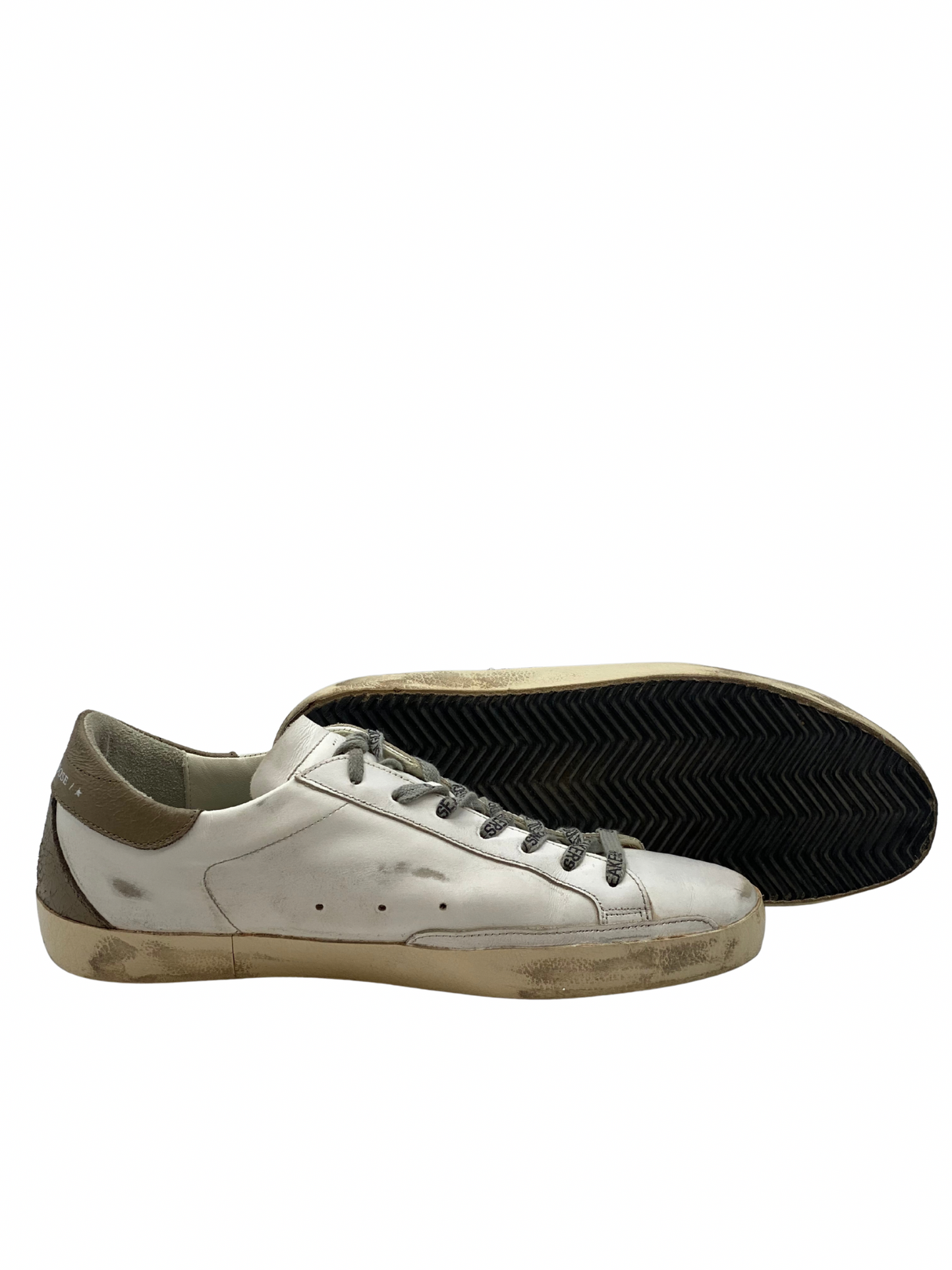 Champion Golden Goose Super-Star (11 MASC)