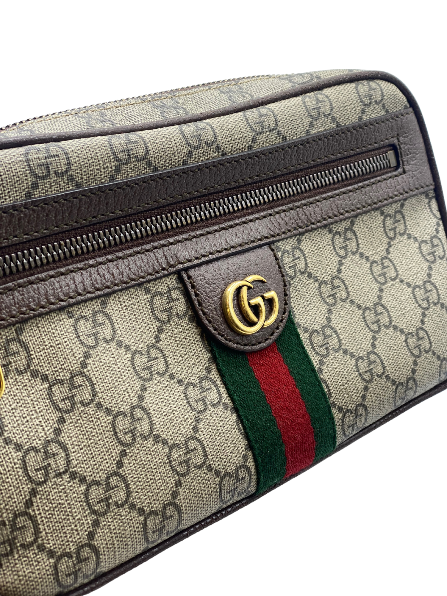 Riñonera Gucci GG Ophidia Small