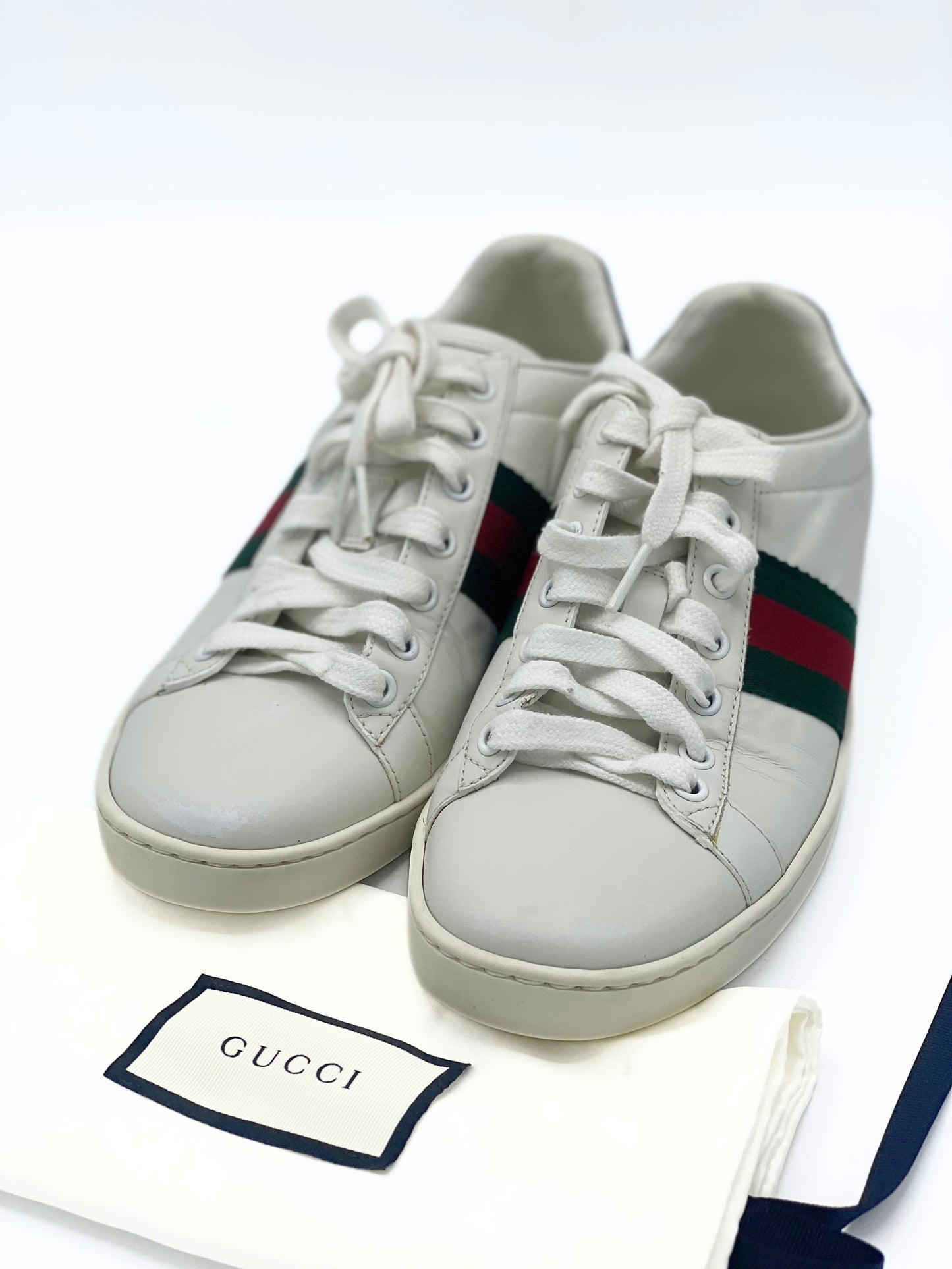 Champion Gucci Ace (37EU)
