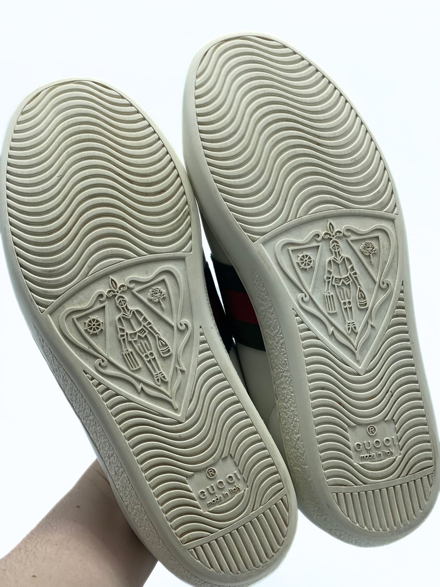 Champion Gucci Ace (37EU)