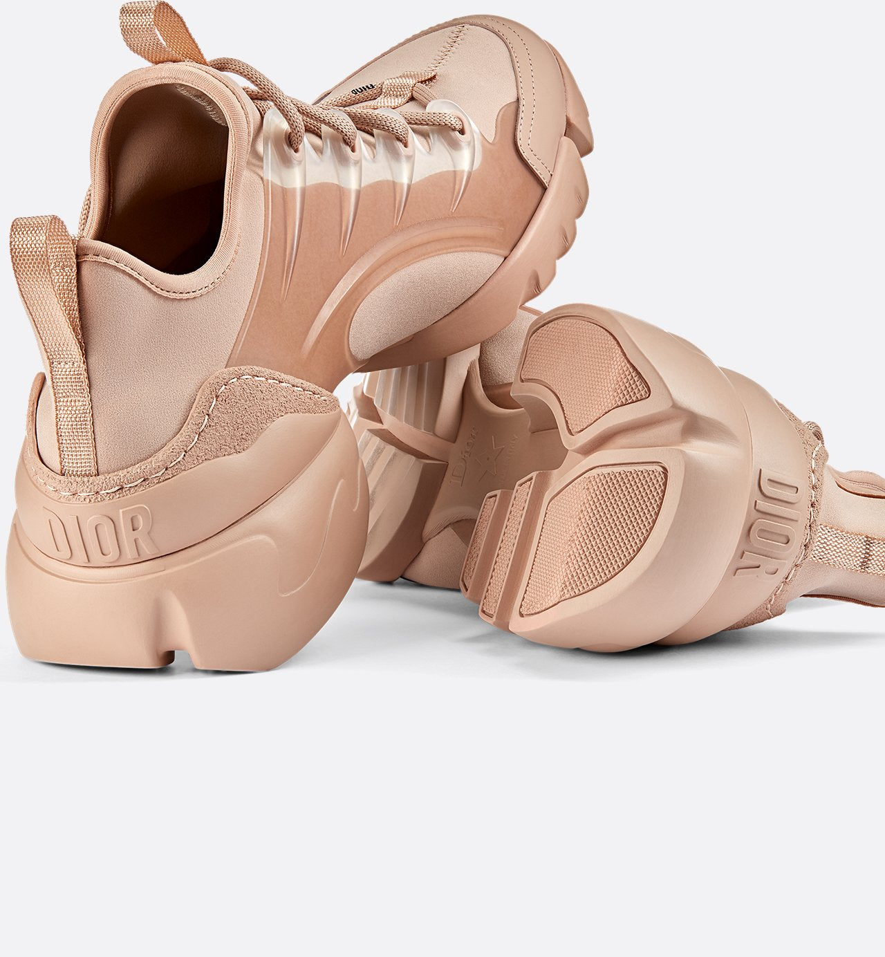 Champion Dior D-Connect (39)