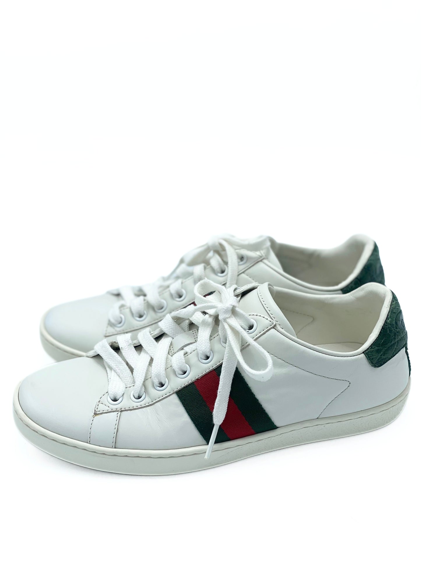 Champion Gucci Ace (37EU)