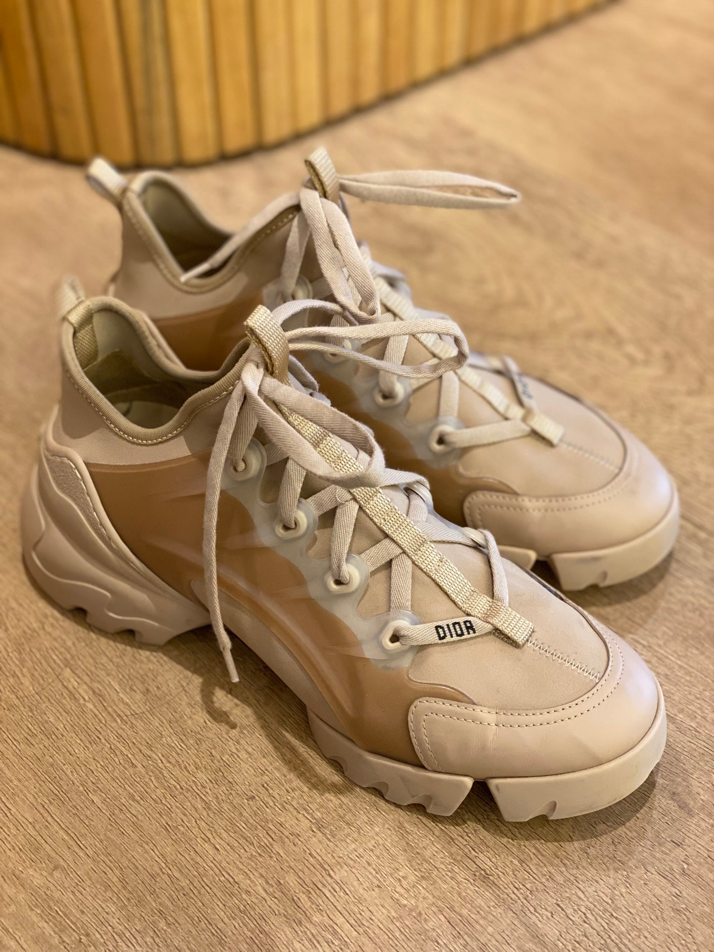 Champion Dior D-Connect (39)