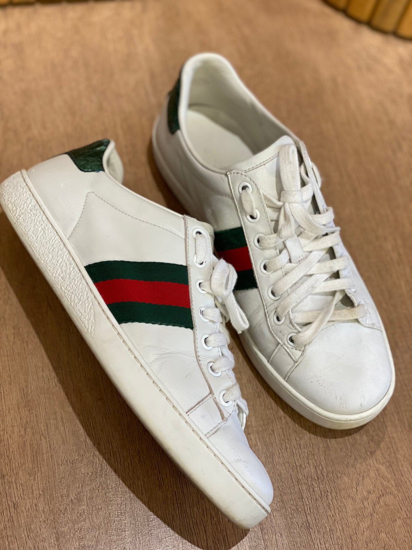 Champion Gucci Ace Clasico (37.5)
