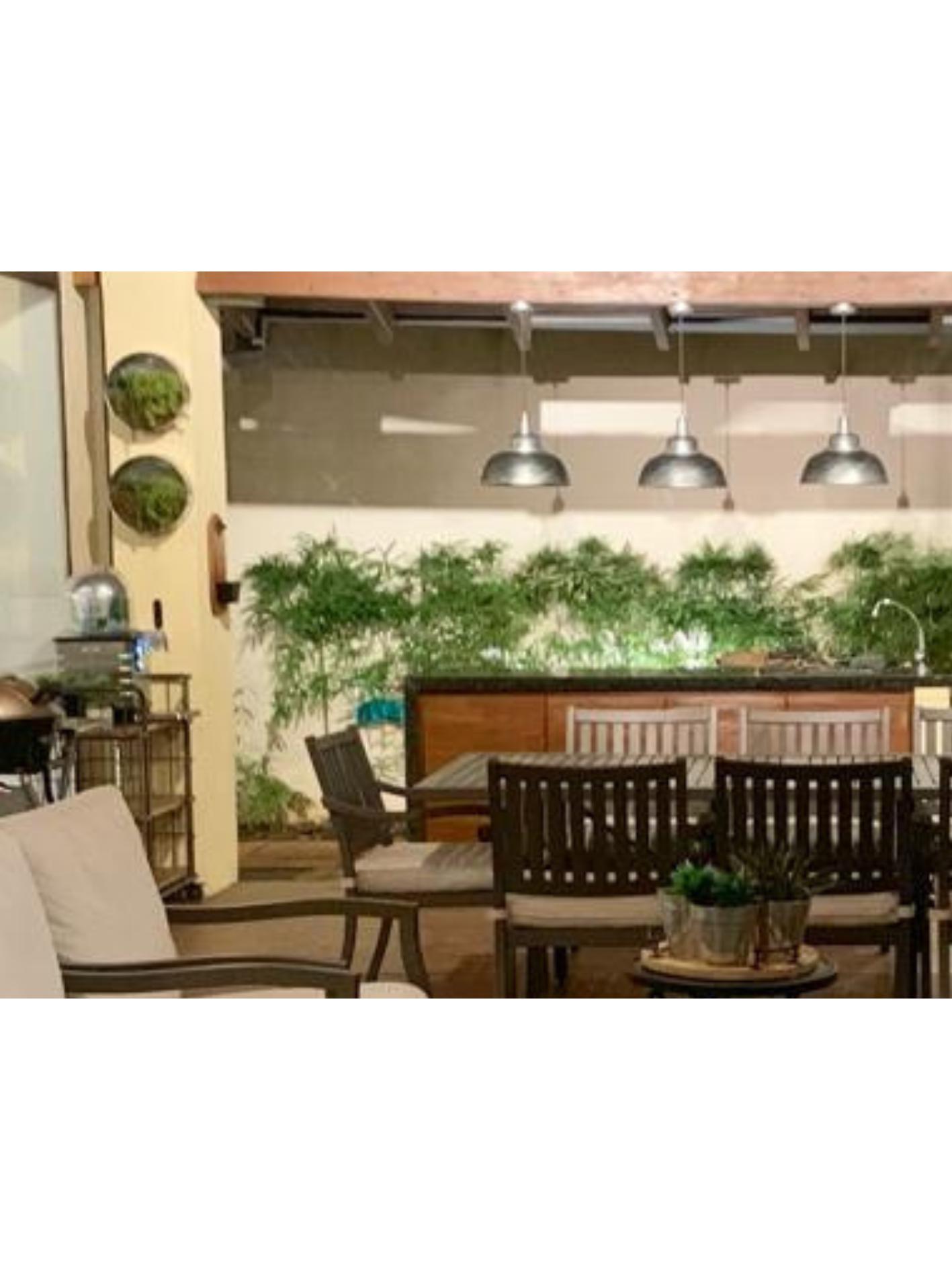 2 Cuadros Circulares con Plantas