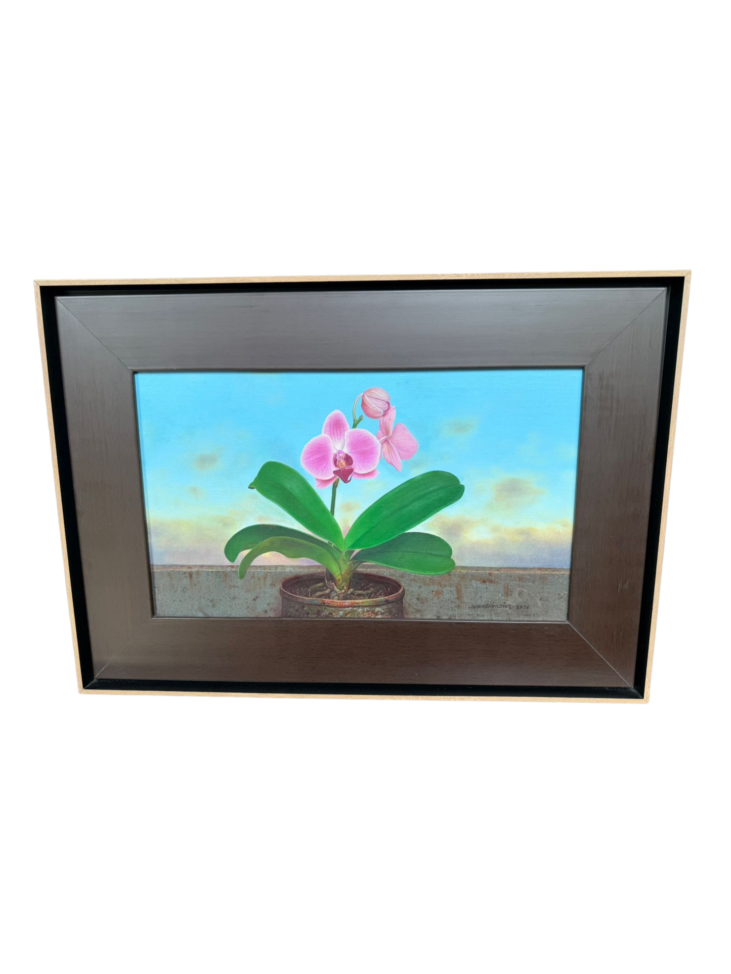 Cuadro de Sebastián Diaz 50 x 30 cm