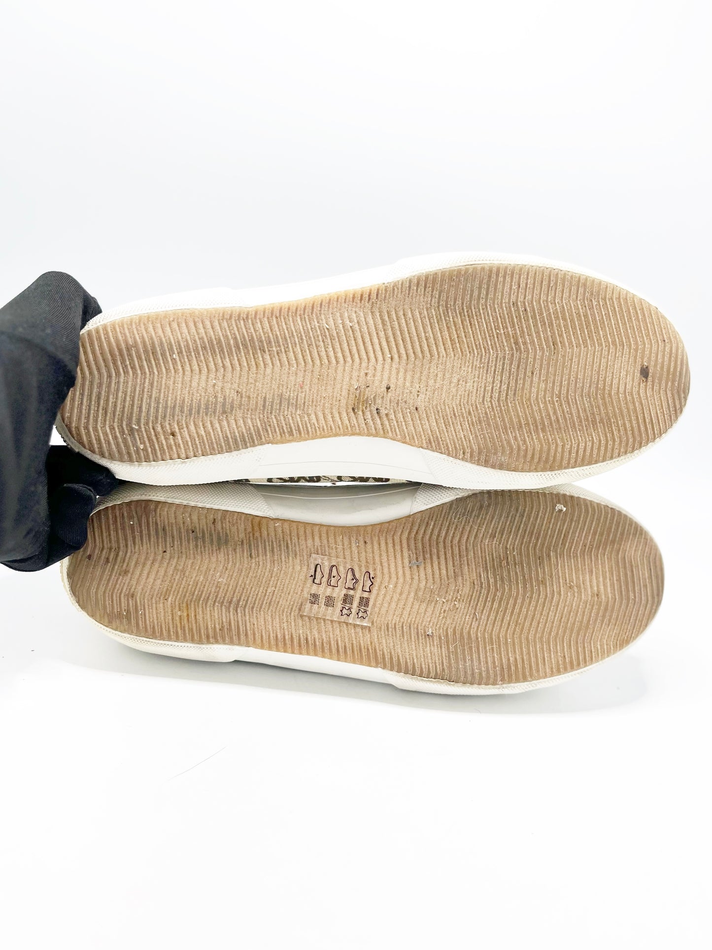 Champion Michael Kors (7.5)