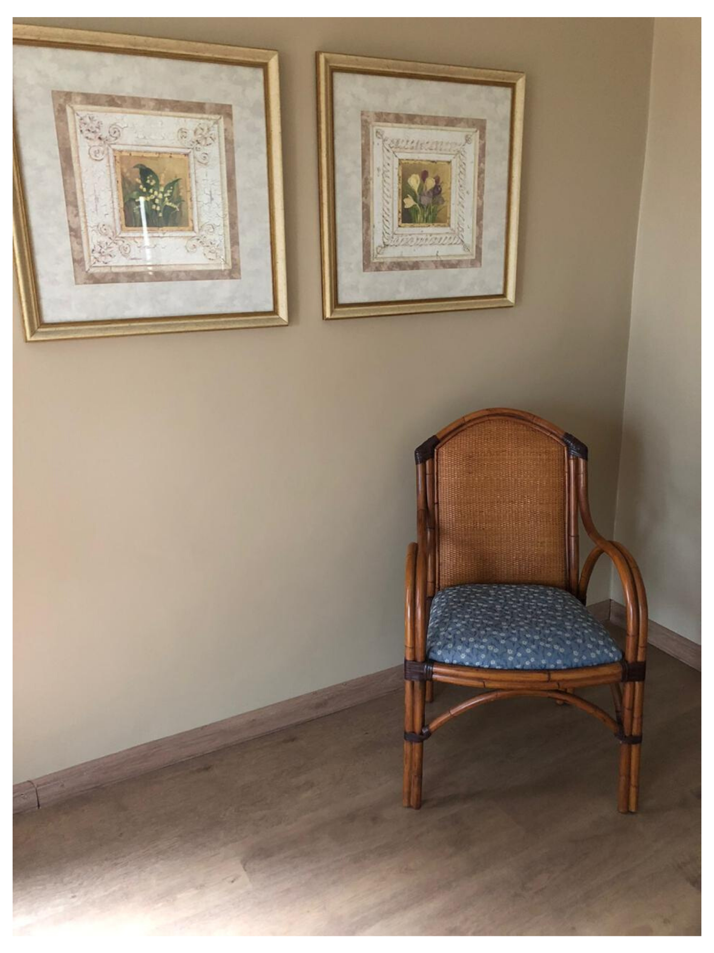 Silla Caña de Malaca