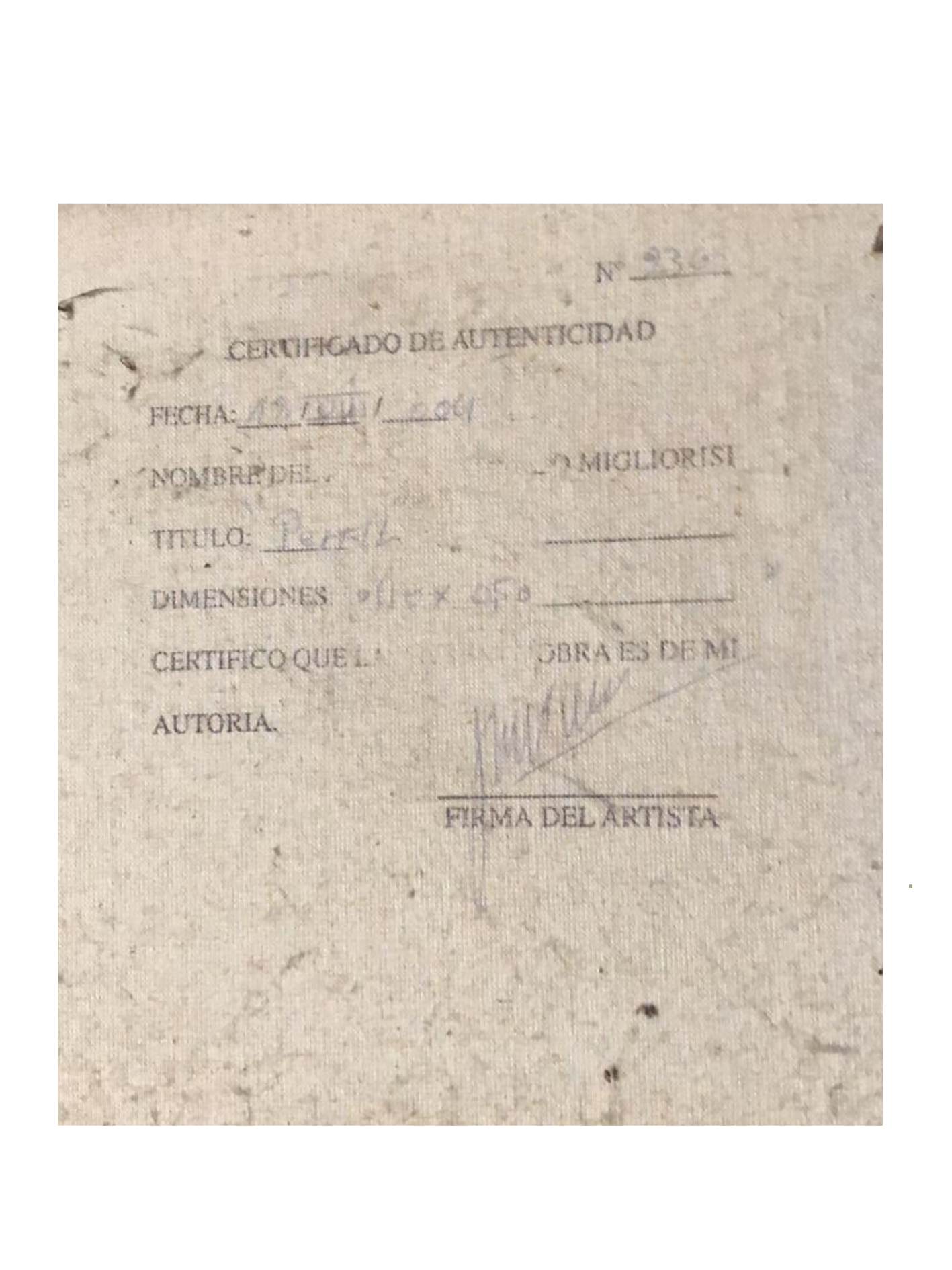 Cuadro “Perfil” de Migliorisi 50 x 40 cm.