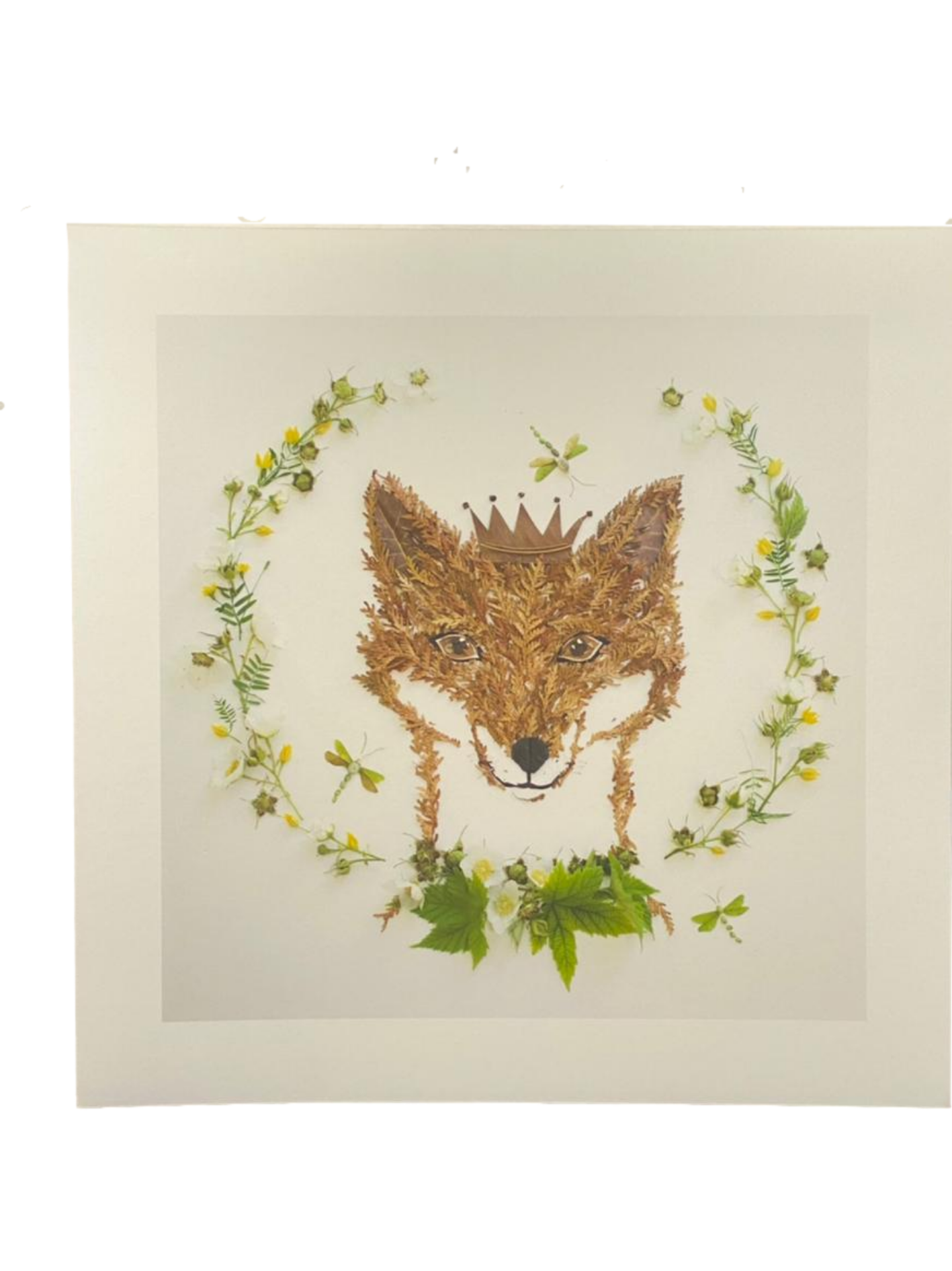 Set de 2 Láminas Zorro 25.5 x 25.5 cm