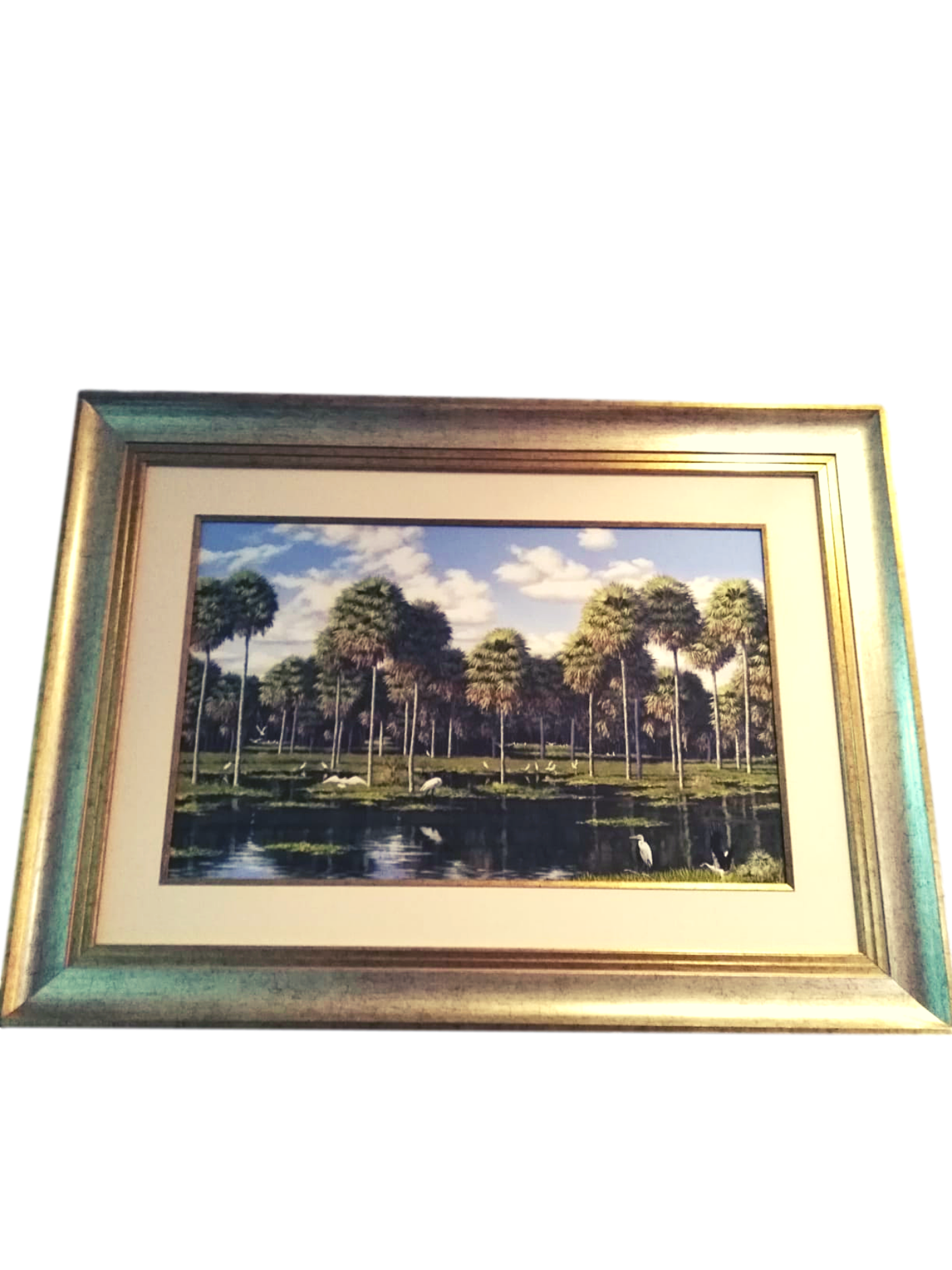 Cuadro de Fernando Ferreira 70 x 50 cm