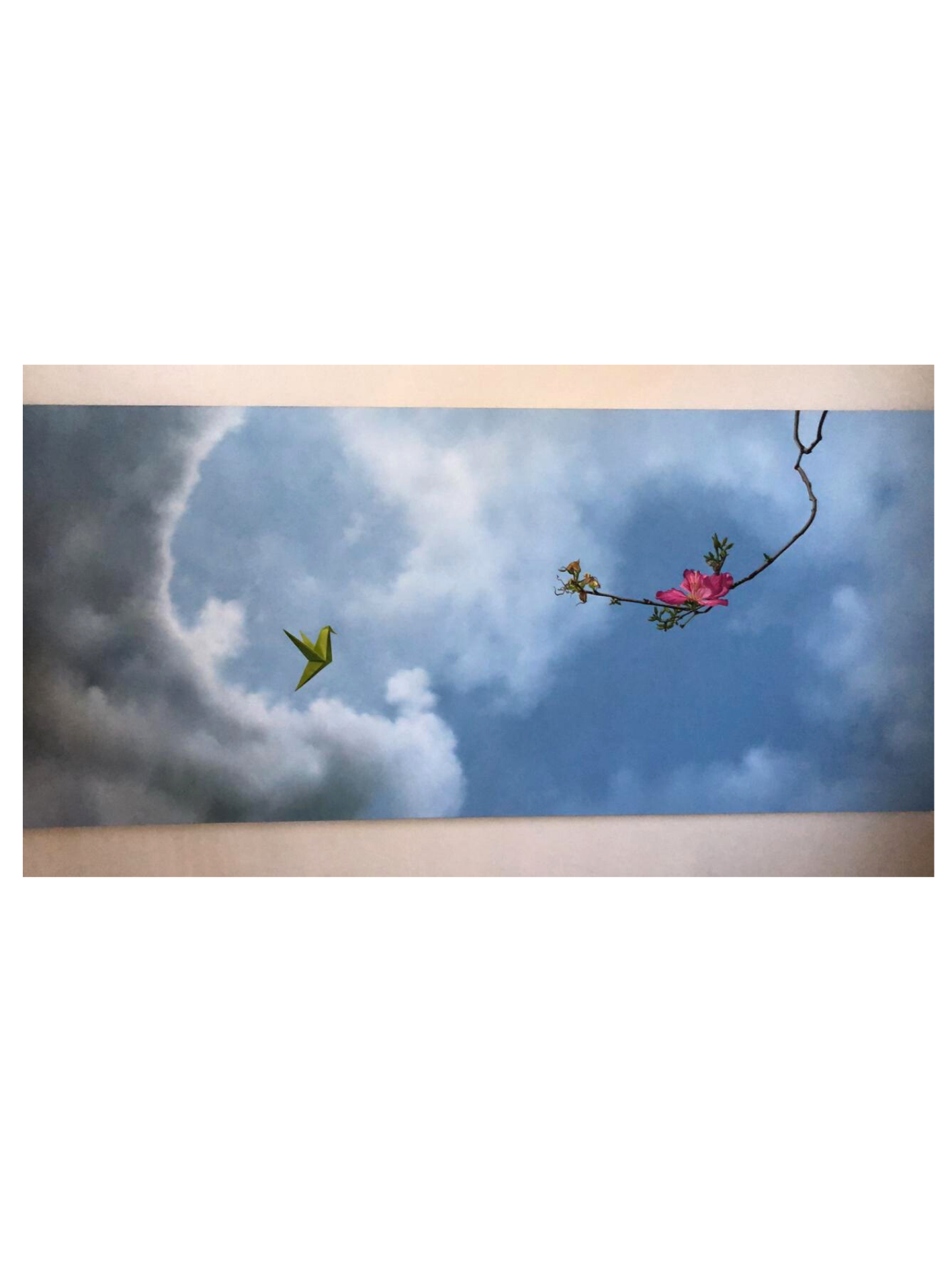 La Bella Ilusión Persistente de Adriana Villagra