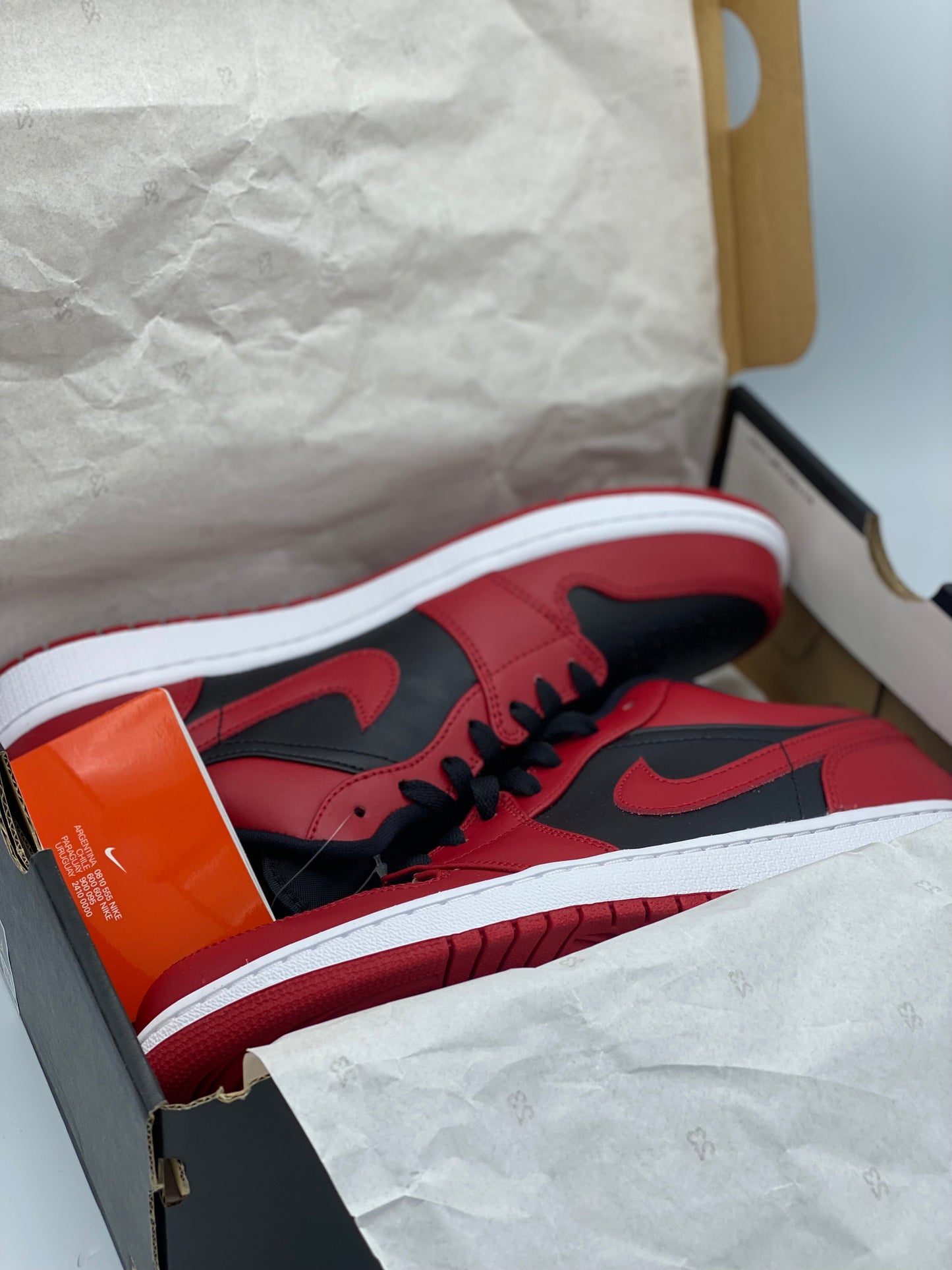 Champion Nike Air Jordan Low Men (US 10)