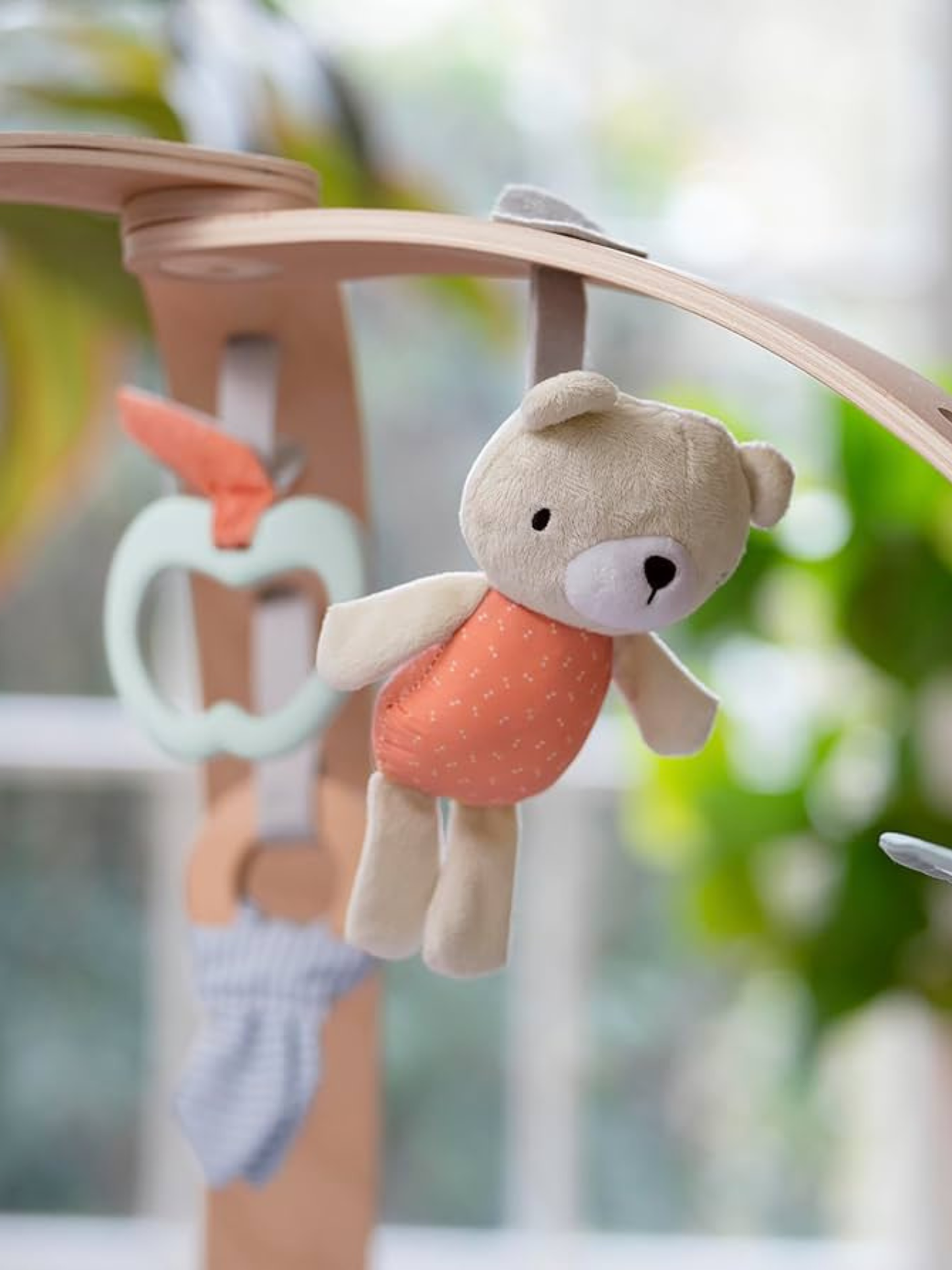 Gimnasio de Actividades Ingenuity