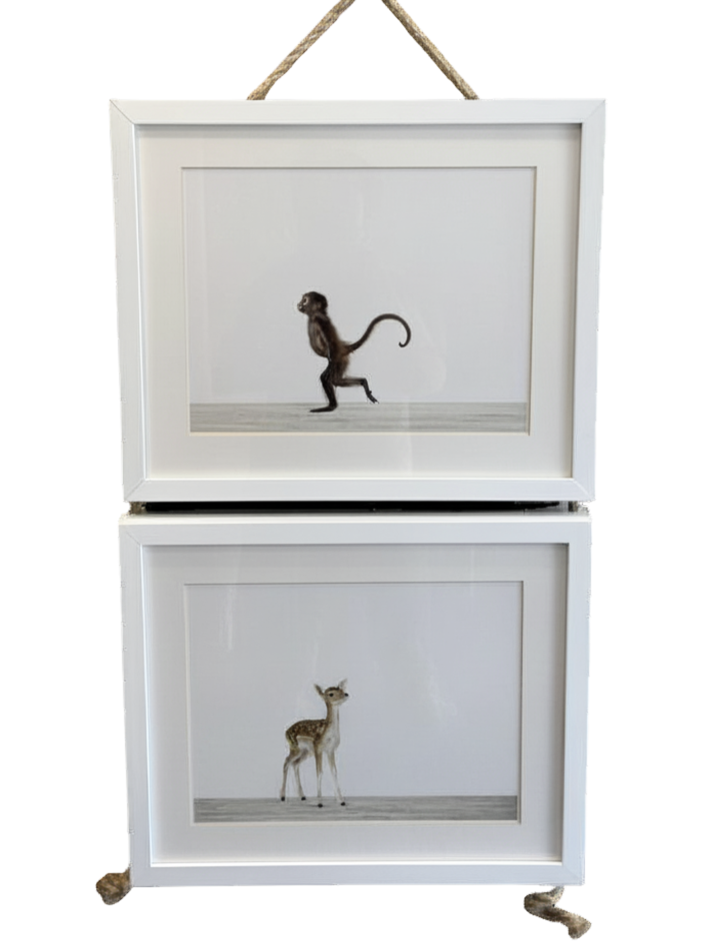 Cuadros Restoration Hardware "Animal Print Shop"