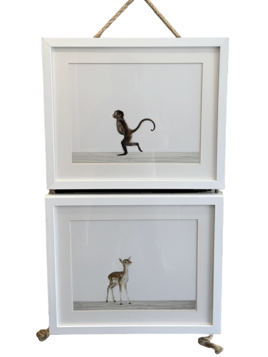 Cuadros Restoration Hardware "Animal Print Shop"