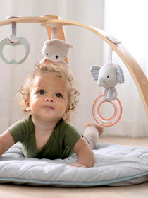 Gimnasio de Actividades Ingenuity