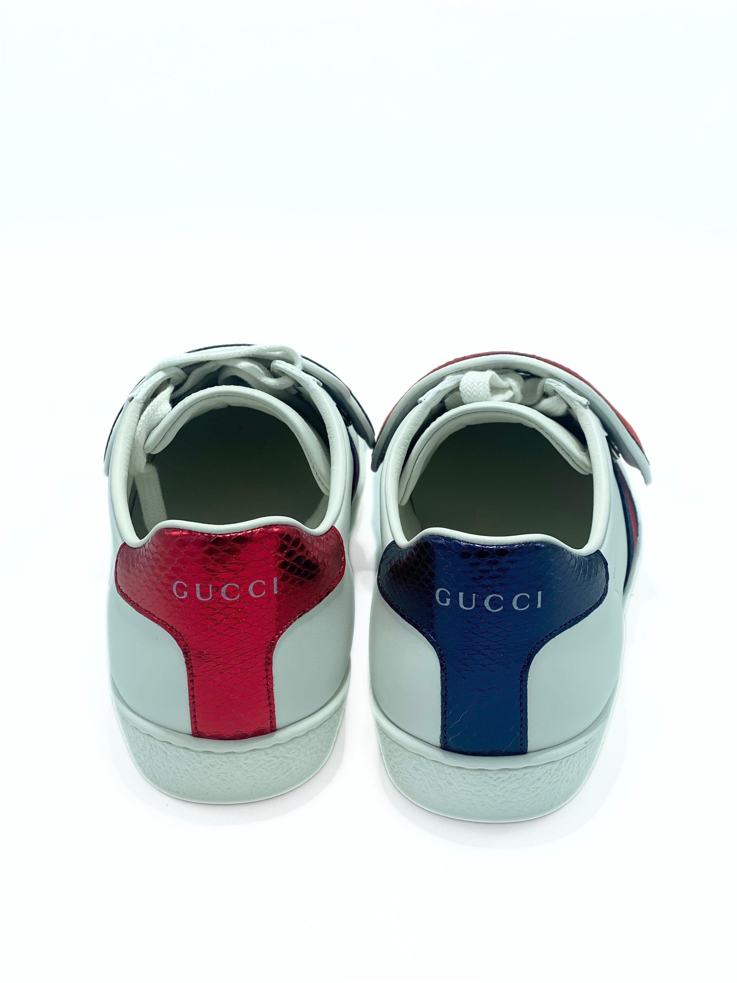 Champion Gucci Ace Blind for Love