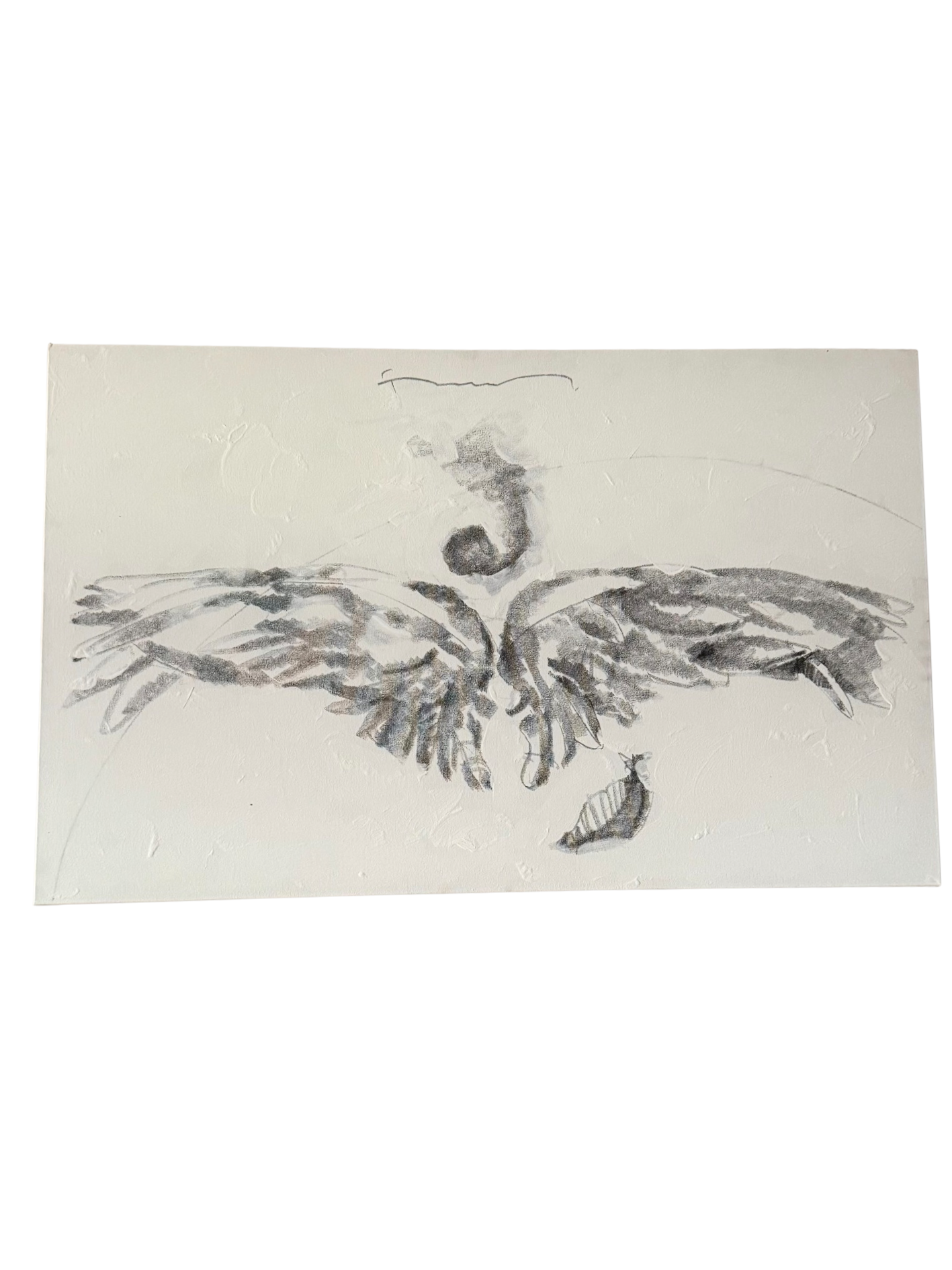 Obra de Félix Toranzo 80 x 50 cm. año 2024