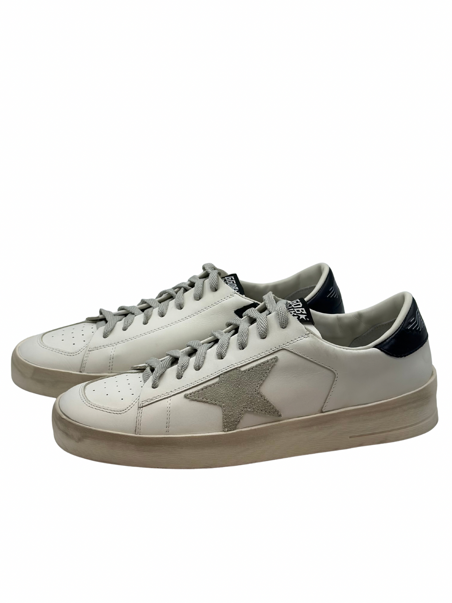 Champion Golden Goose Stardan (MASC 41)
