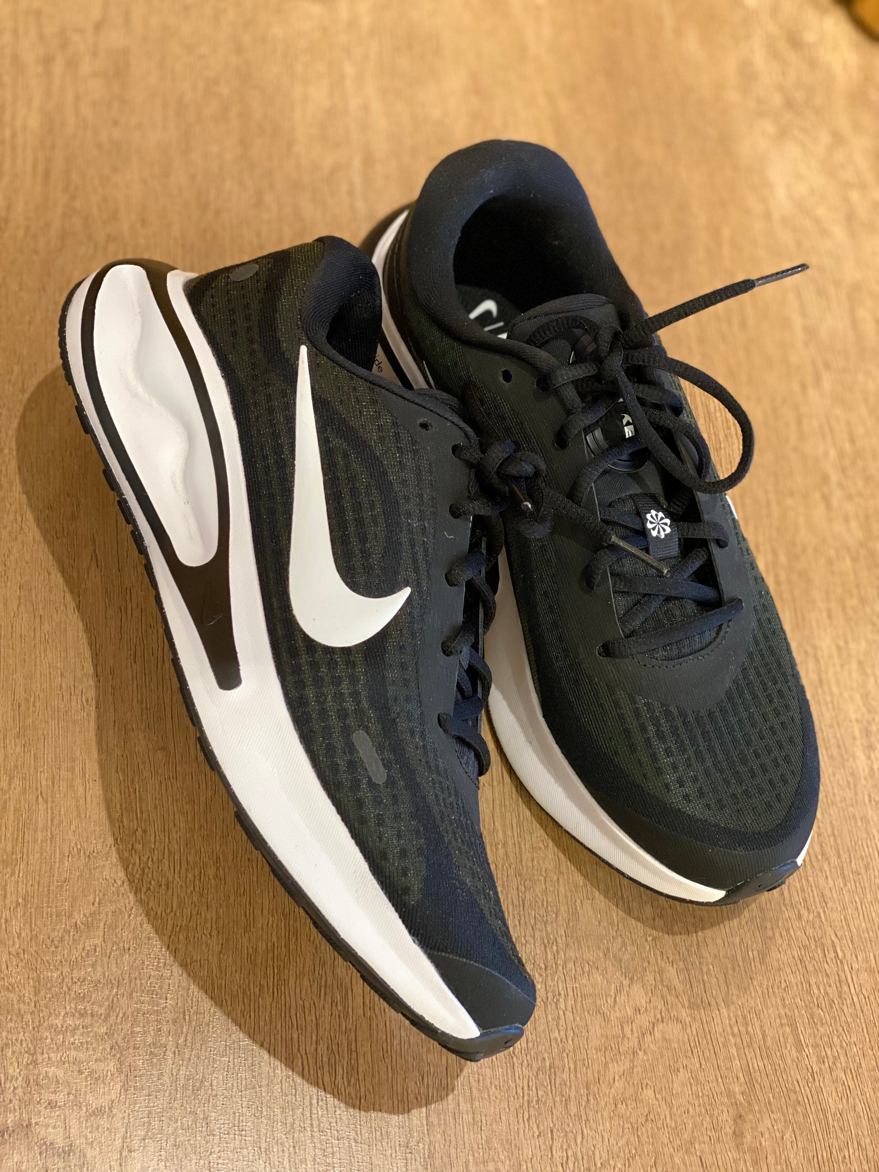 Champion Nike Journey Run (9 US)