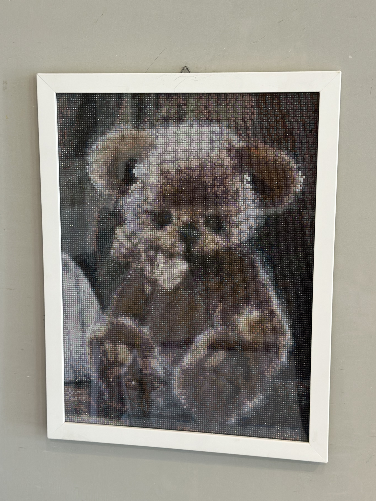 Cuadro Decorativo de Oso