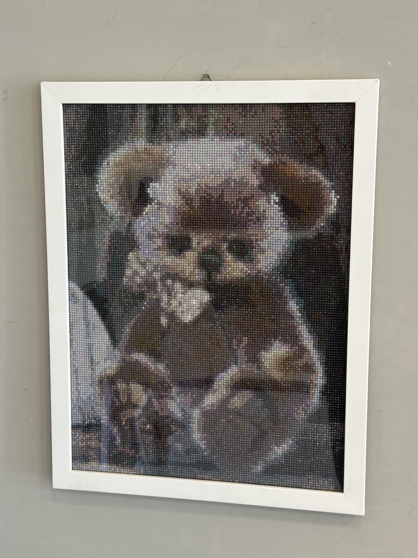 Cuadro Decorativo de Oso