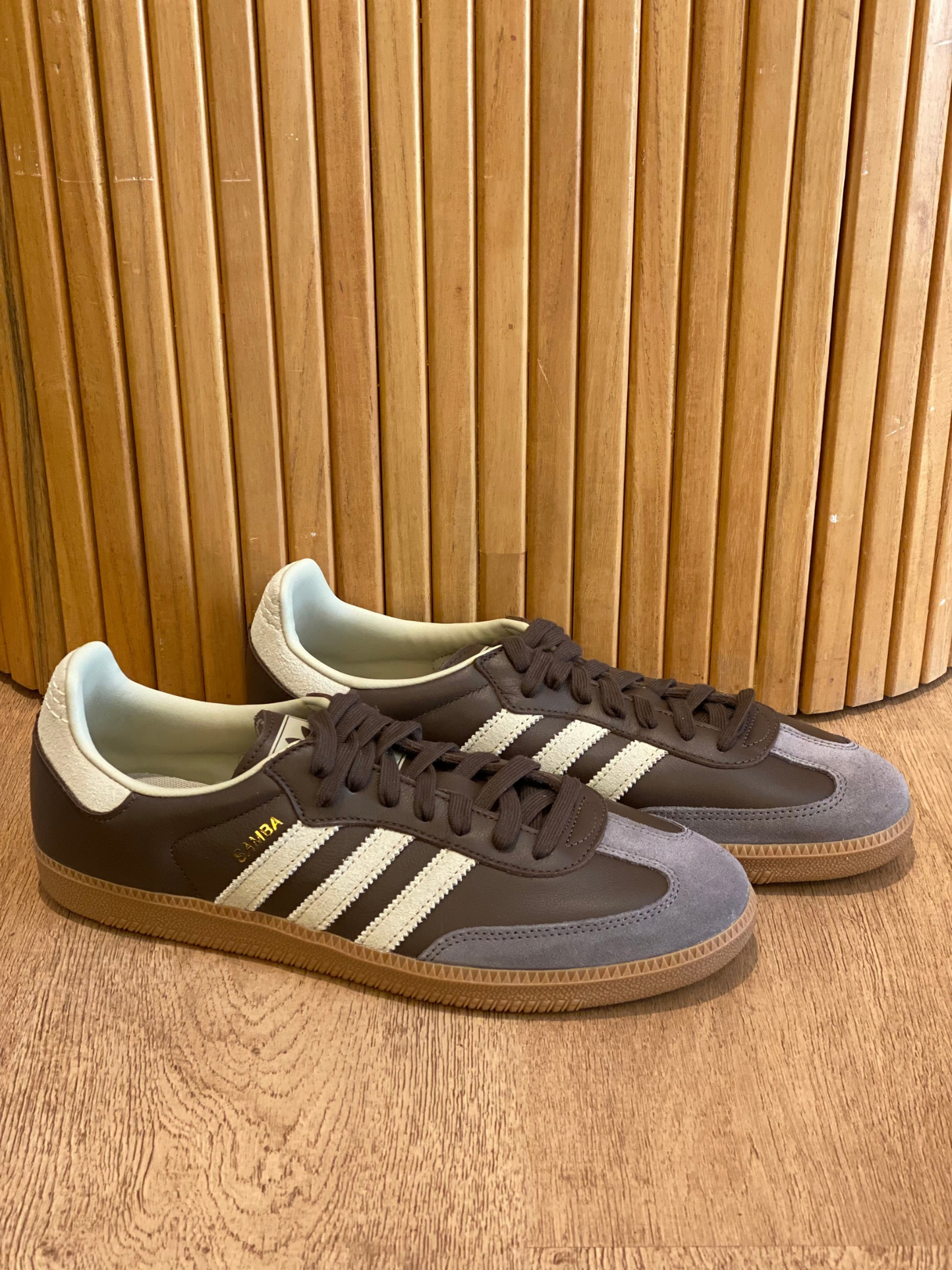 Champion Marrón Adidas Samba (11 MASC)