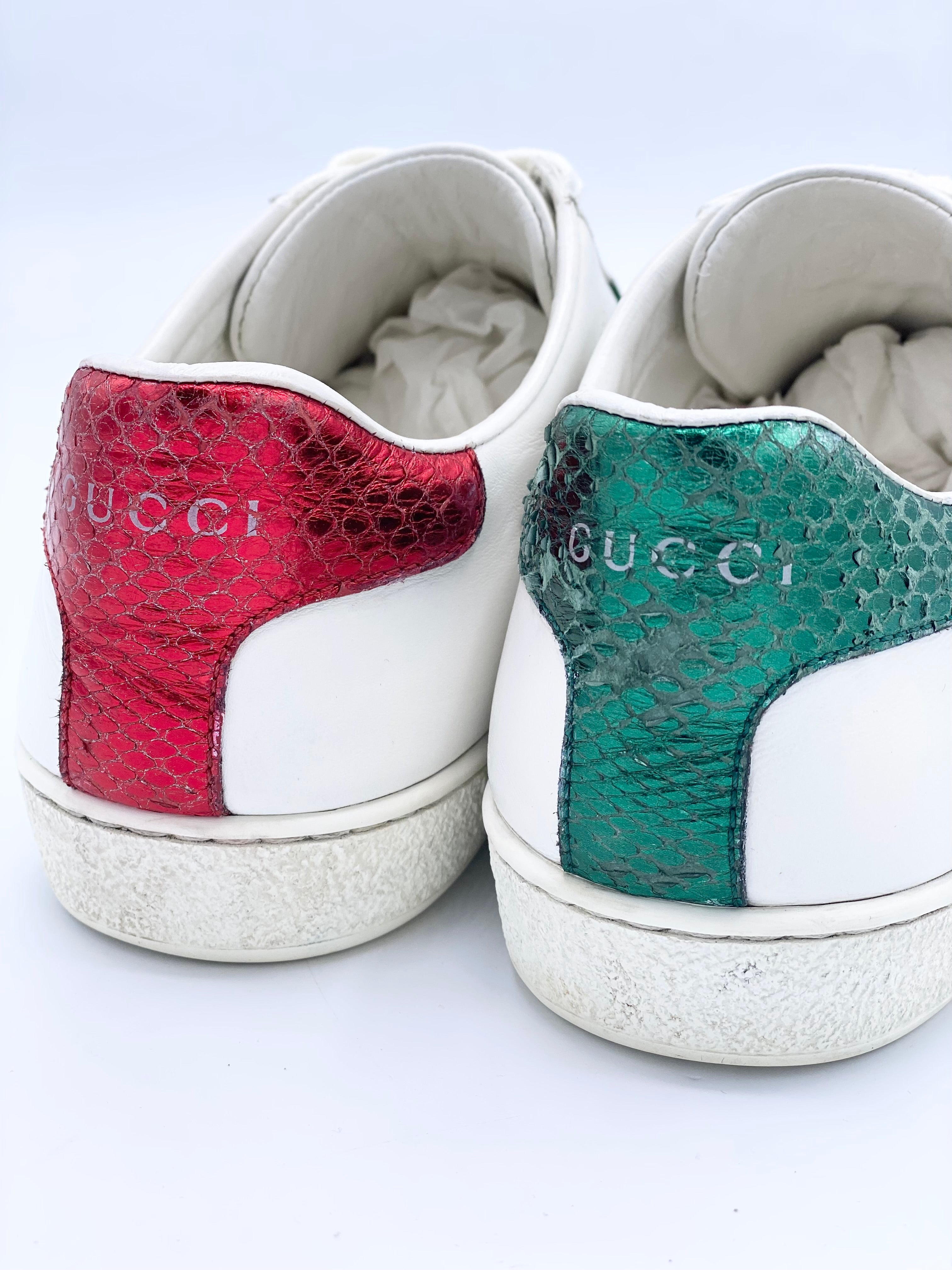 Champion Gucci Ace Bee (37)