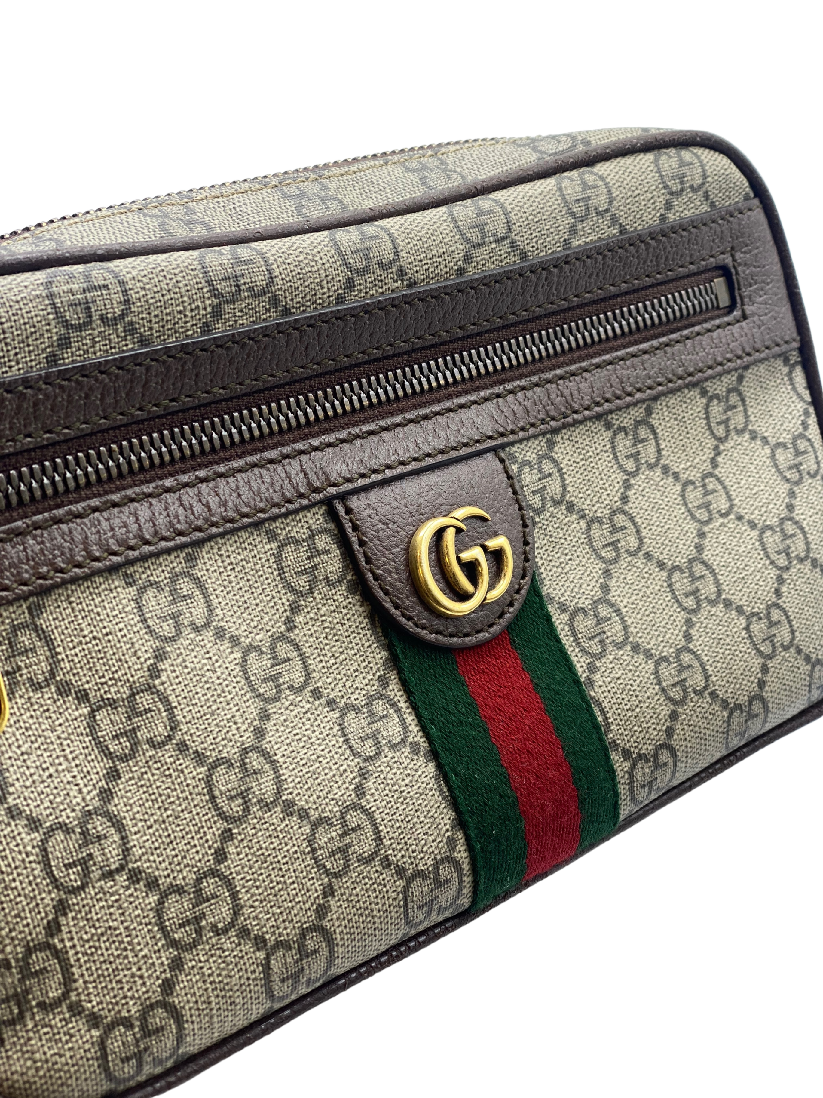 Riñonera Gucci GG Ophidia Small