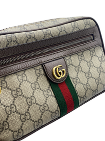 Riñonera Gucci GG Ophidia Small