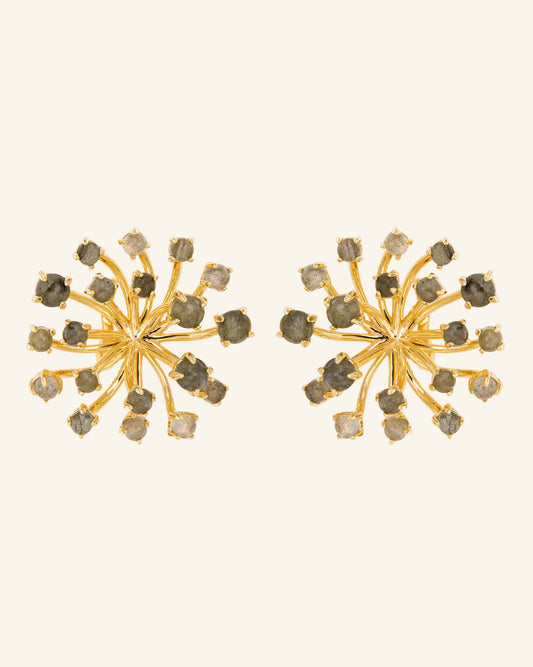 Aros Coolook con Piedra Labradorita