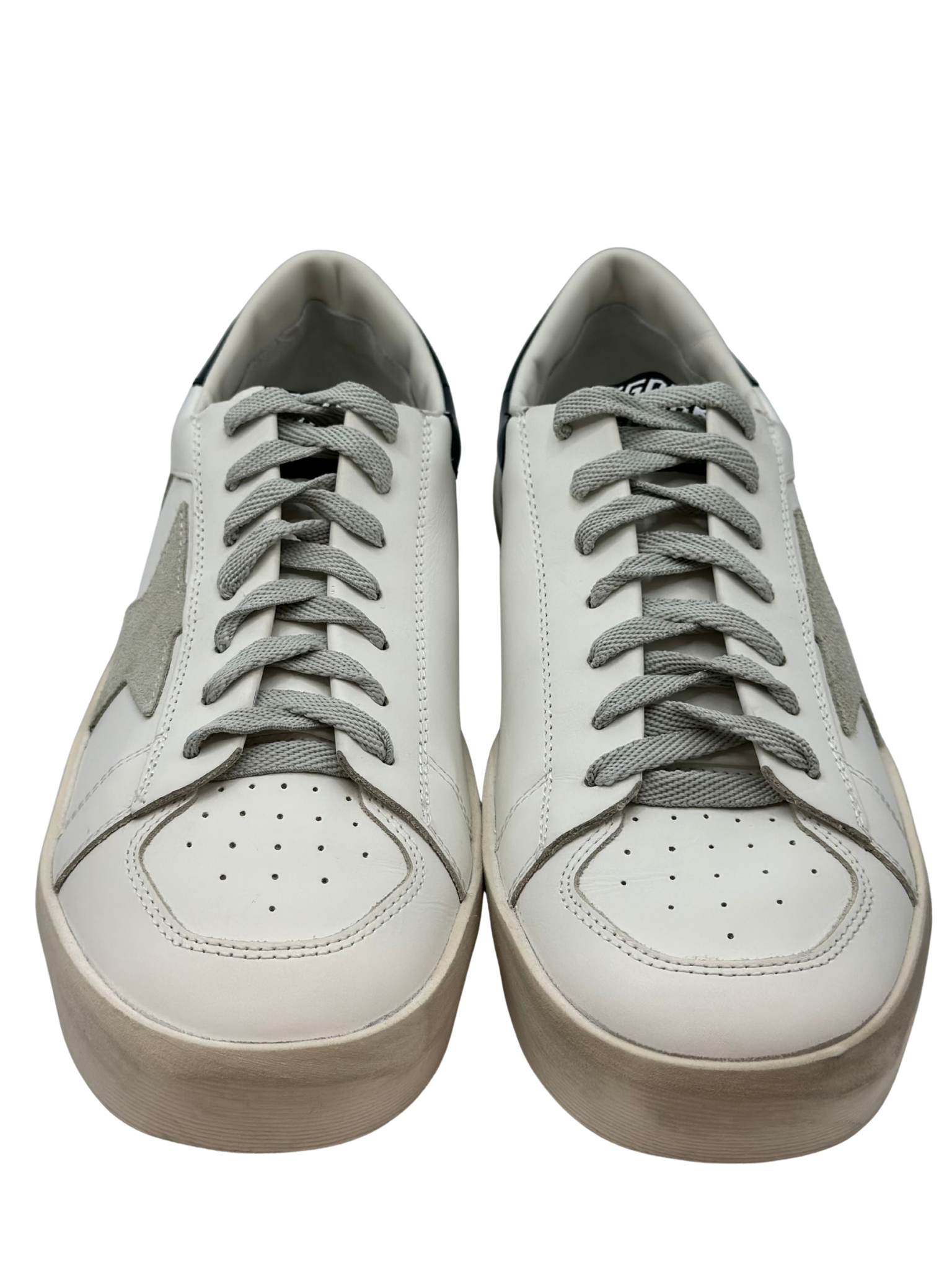 Champion Golden Goose Stardan (MASC 41)