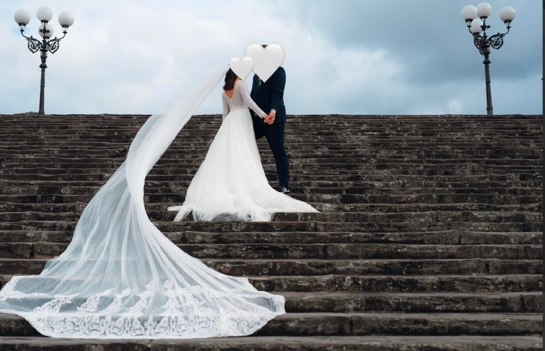 Vestido de Novia Rosa Clará Bride + Velo de 7 Metros Bordado (Talle S)