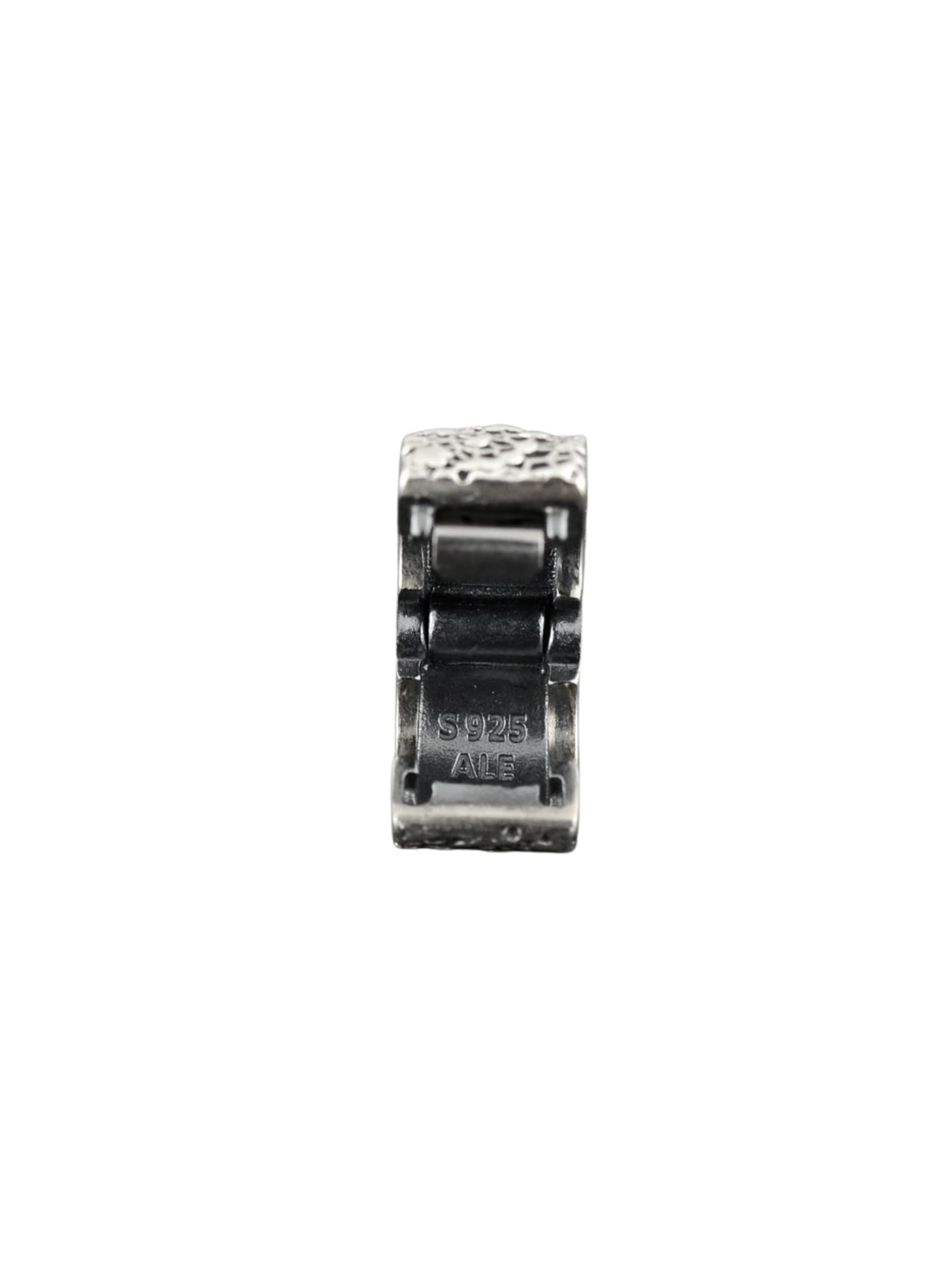 Charm Pandora Clip 791758