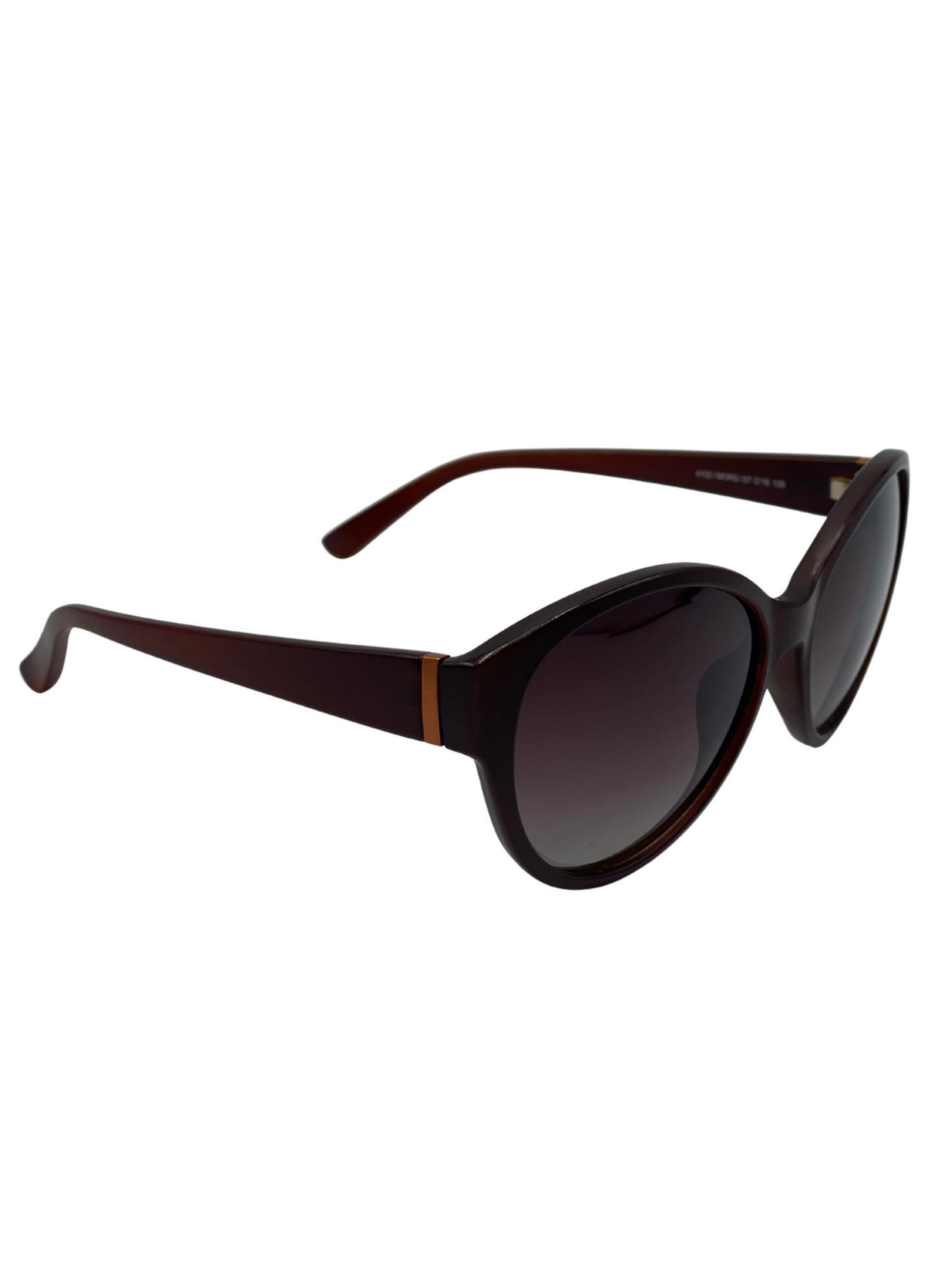 Lente de Sol B+D 4102