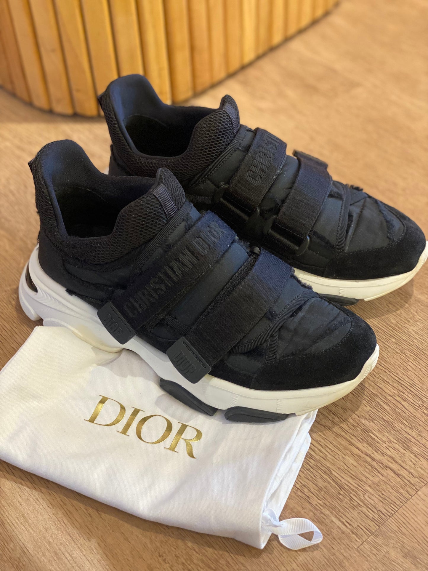 Champion Dior D-Wander (38)