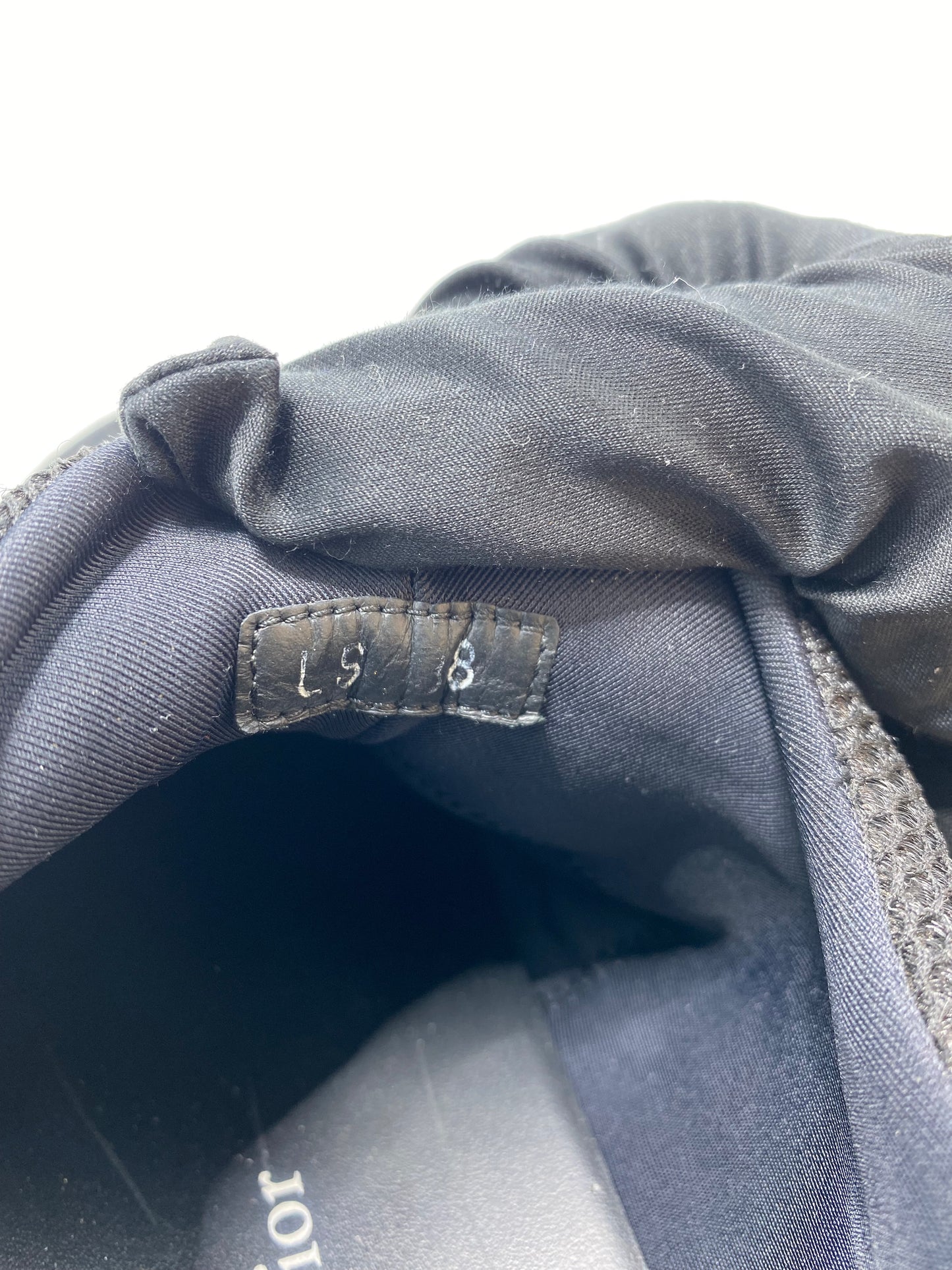 Champion Dior D-Wander (38)