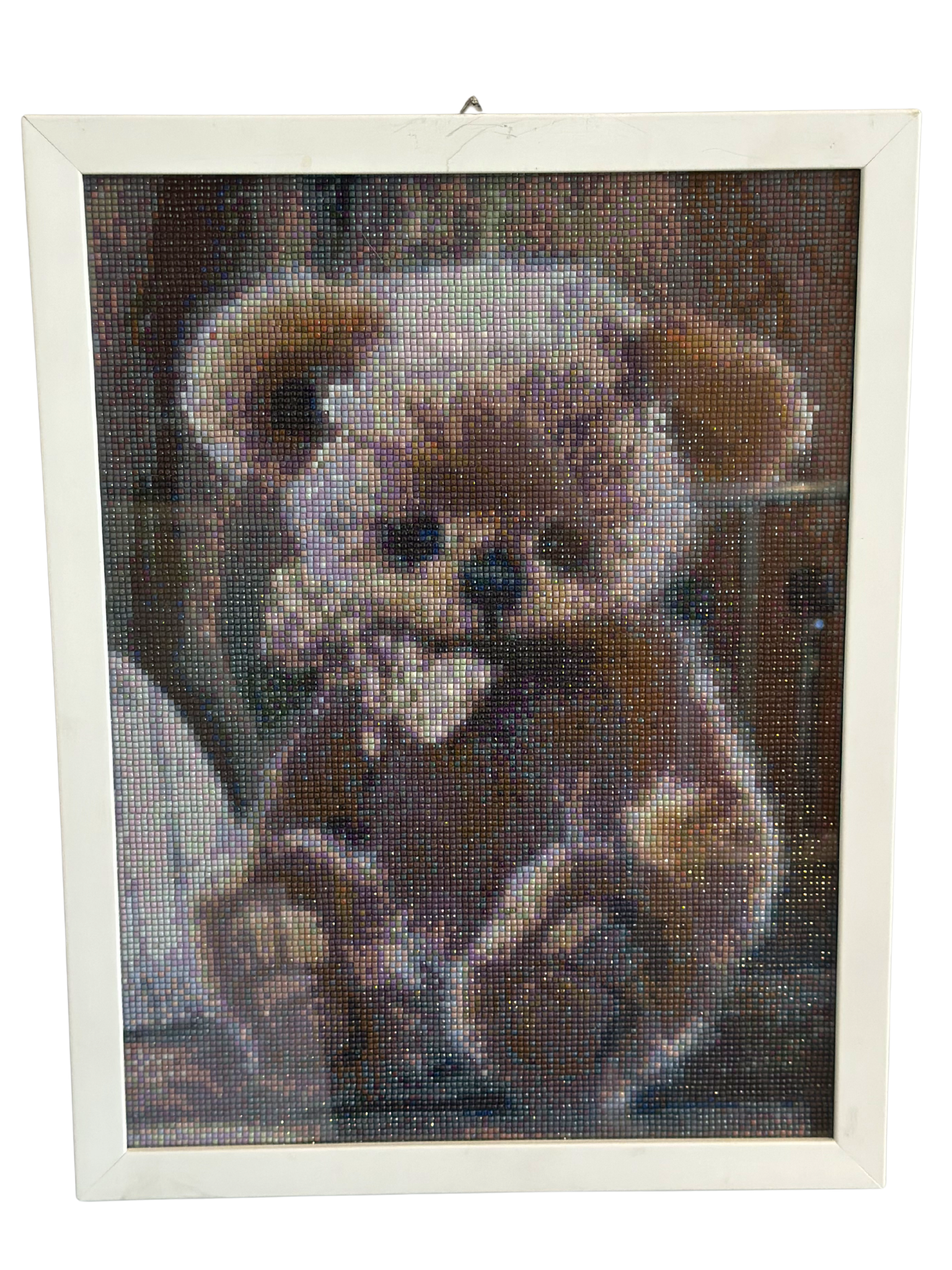 Cuadro Decorativo de Oso