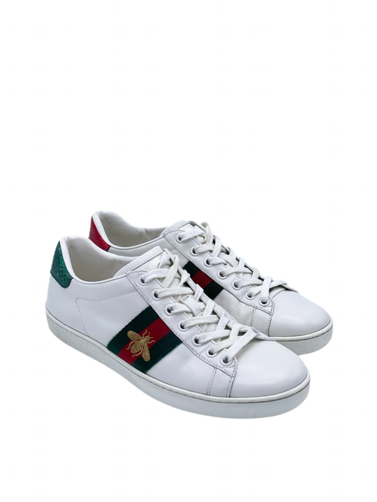 Champion Gucci Ace Bee (37)