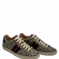 Champion Gucci Ace GG Supreme (41 MASC)