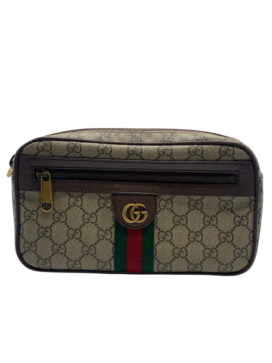 Riñonera Gucci GG Ophidia Small