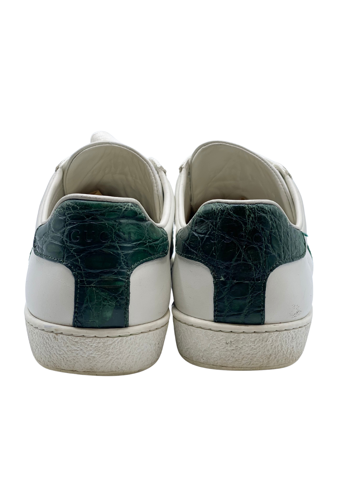 Champion Gucci Ace Clasico (37.5)