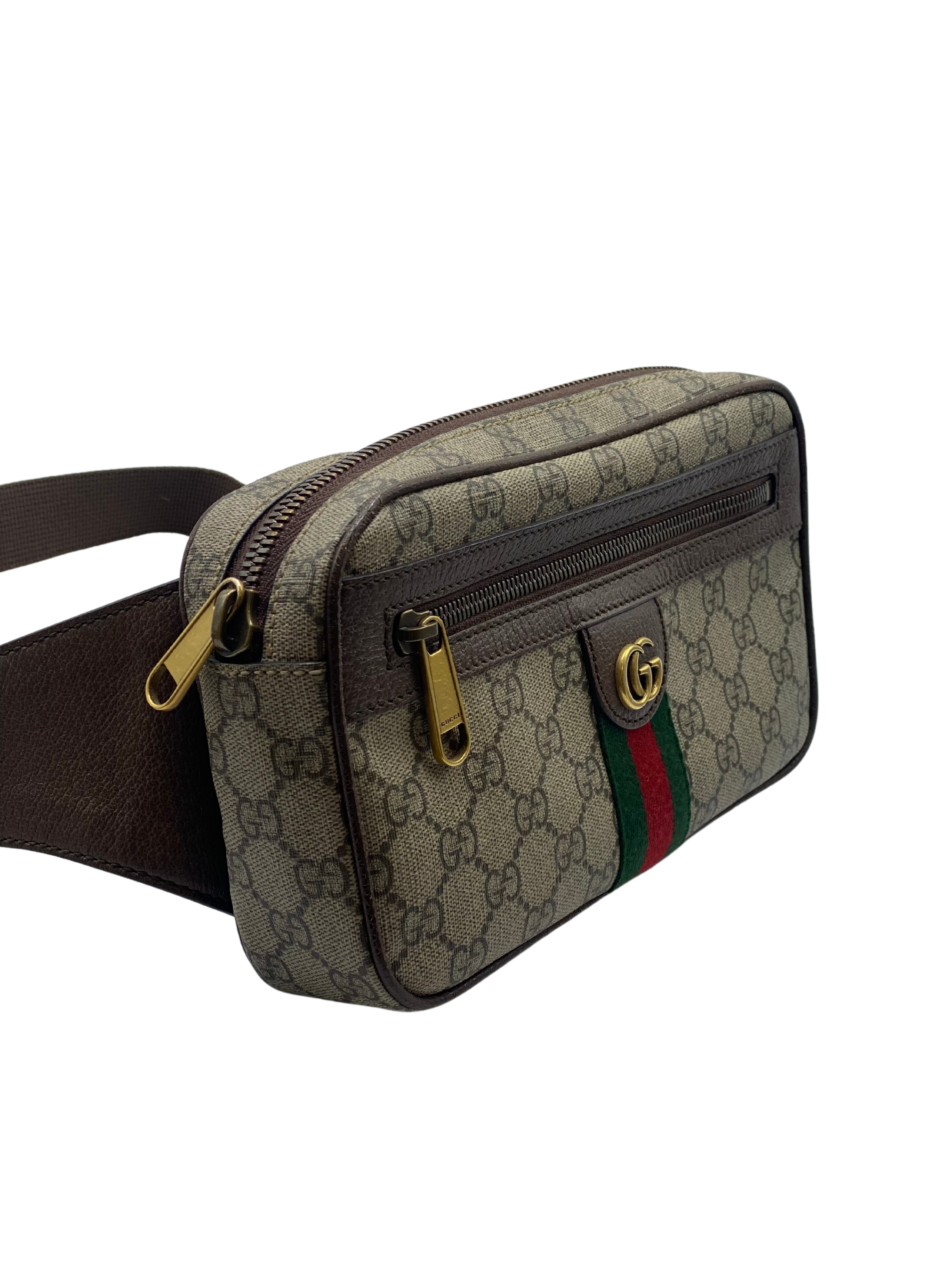 Riñonera Gucci GG Ophidia Small