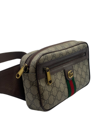 Riñonera Gucci GG Ophidia Small