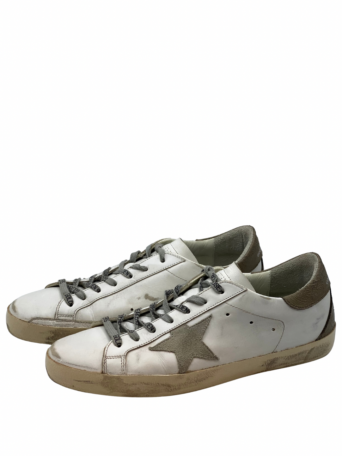 Champion Golden Goose Super-Star (11 MASC)